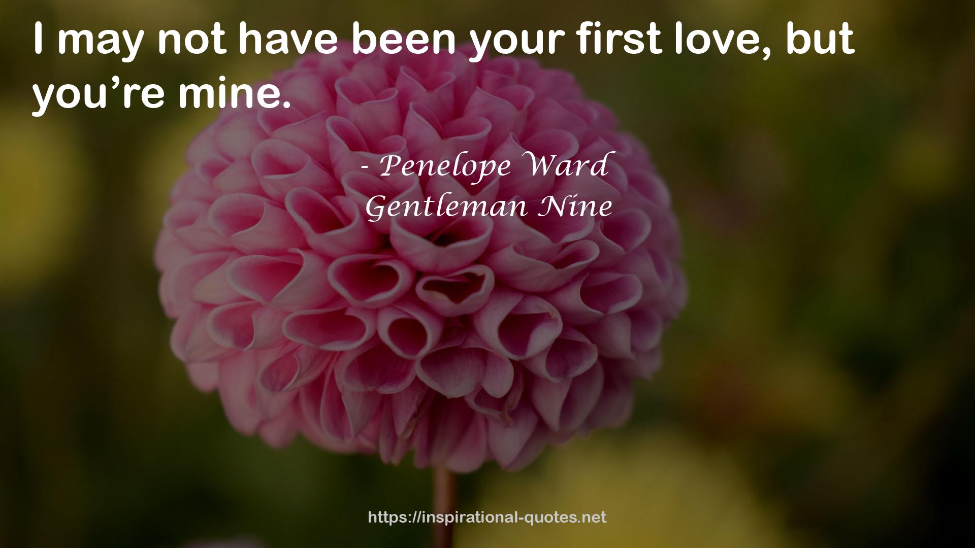 Gentleman Nine QUOTES