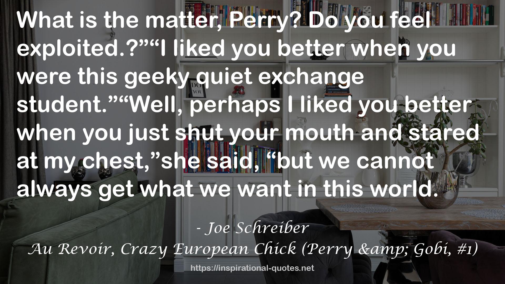 Joe Schreiber QUOTES