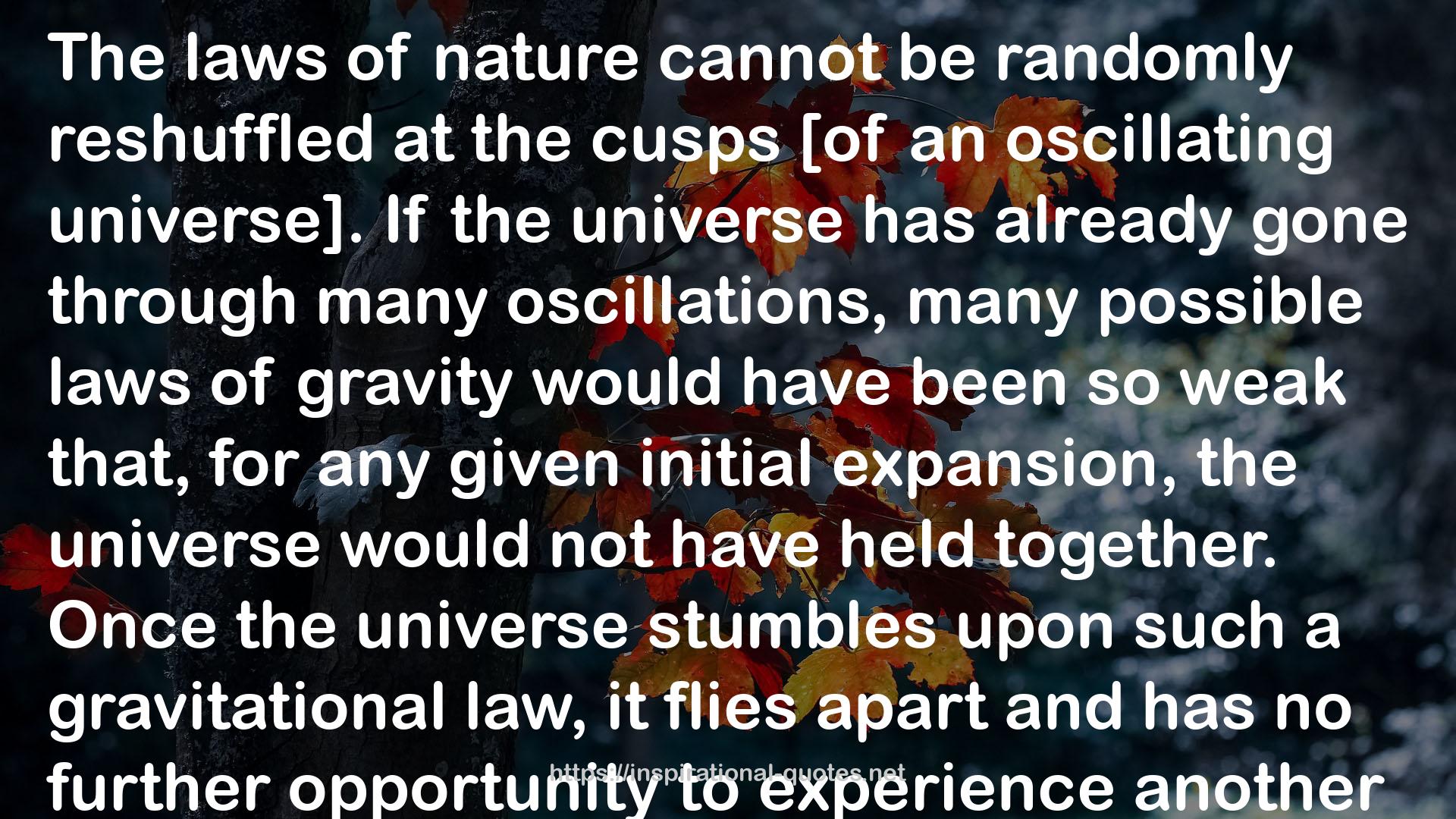 Cosmos QUOTES