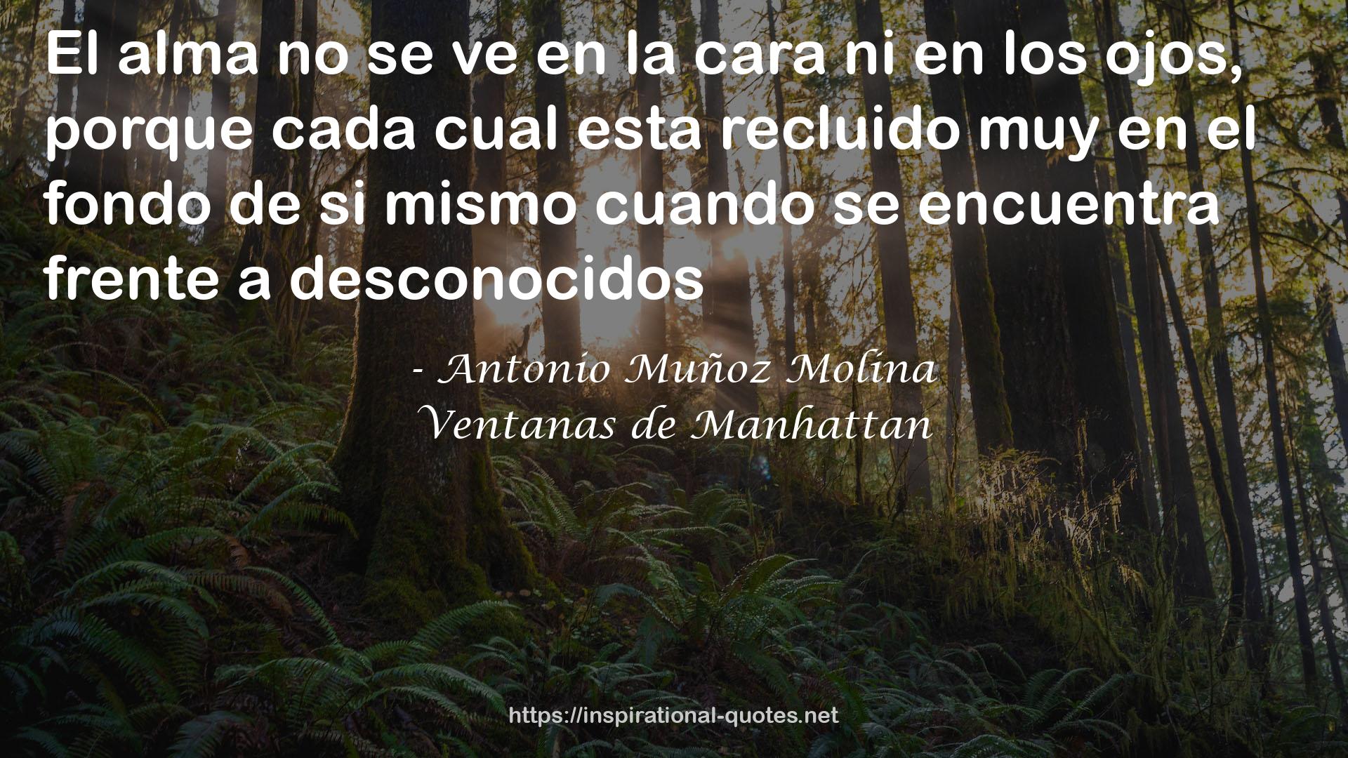 Antonio Muñoz Molina QUOTES