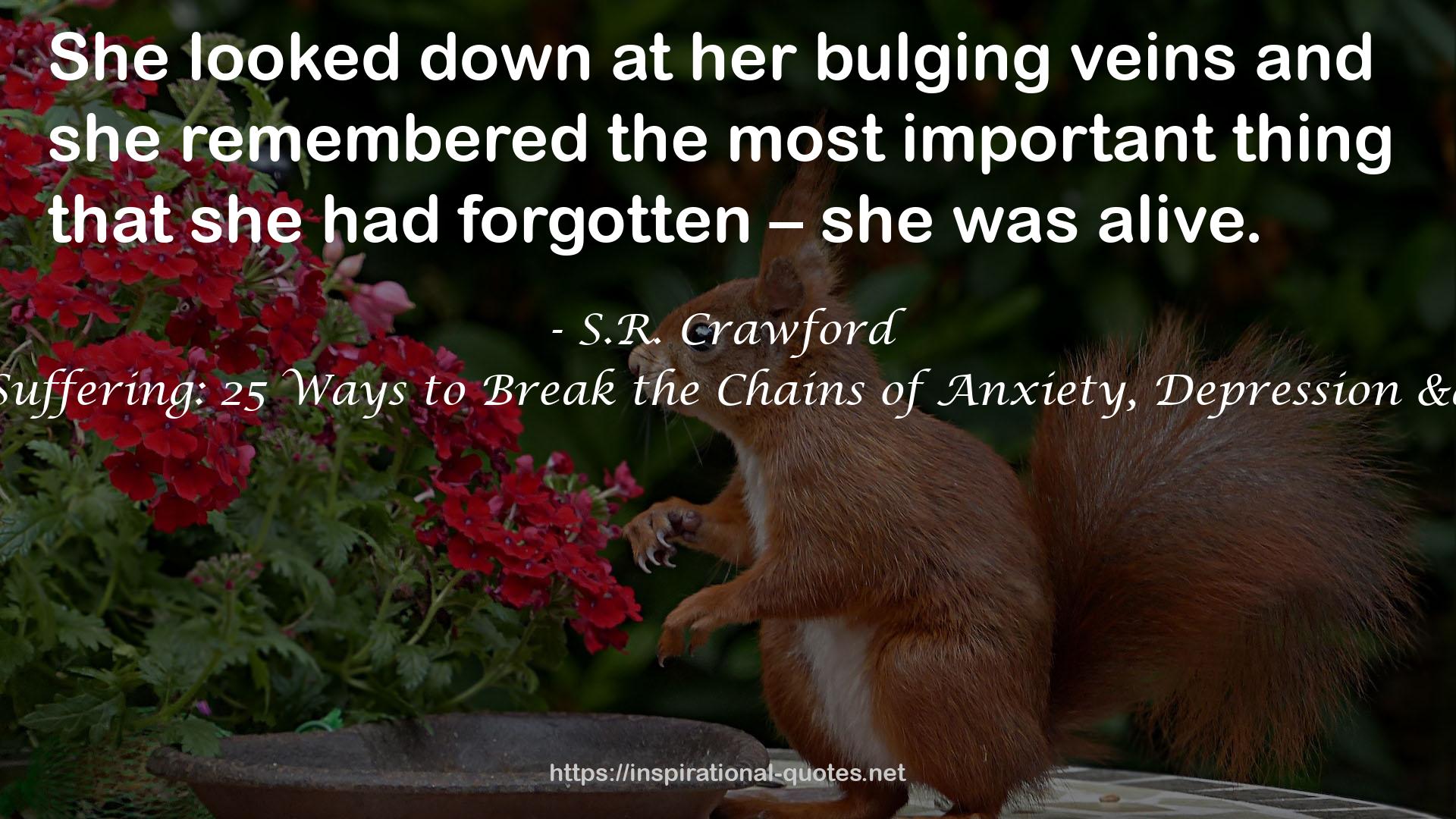 S.R. Crawford QUOTES