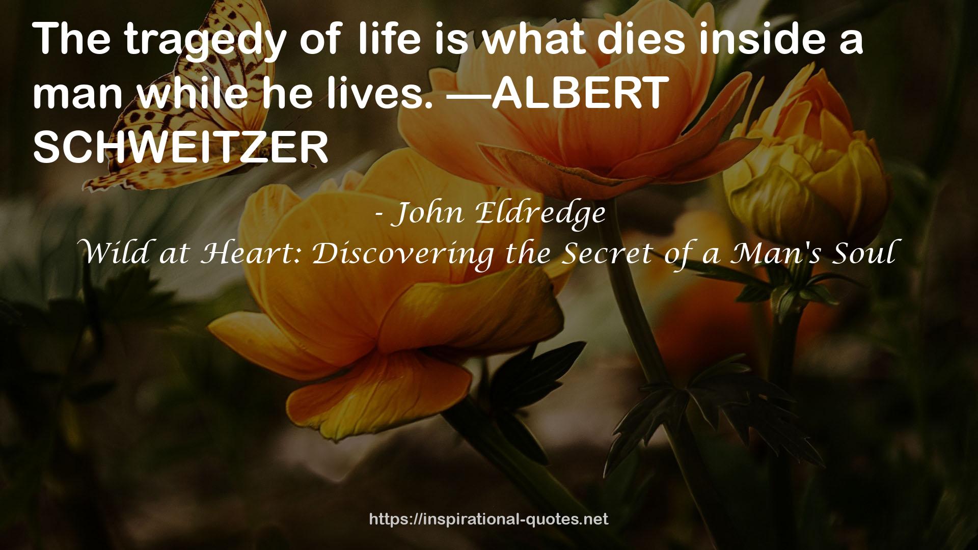 John Eldredge QUOTES