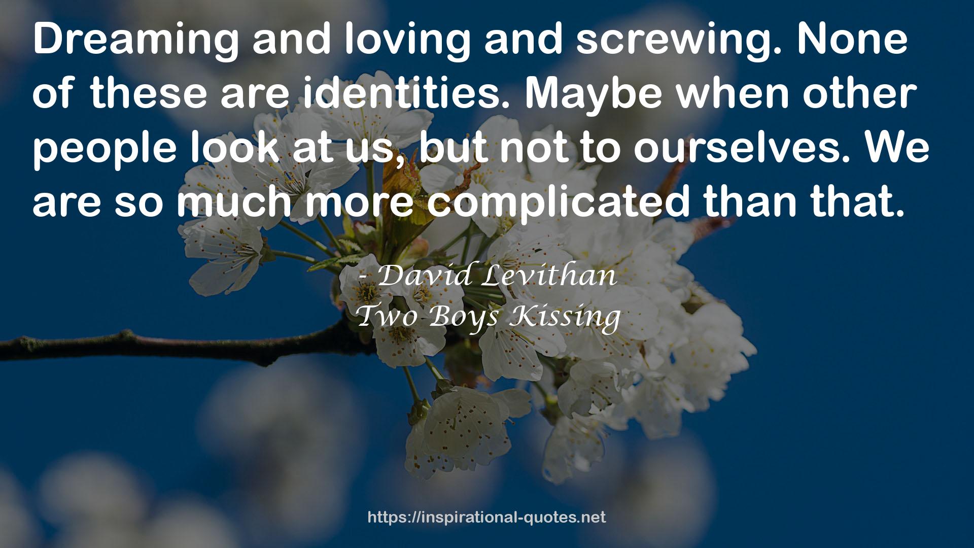 David Levithan QUOTES
