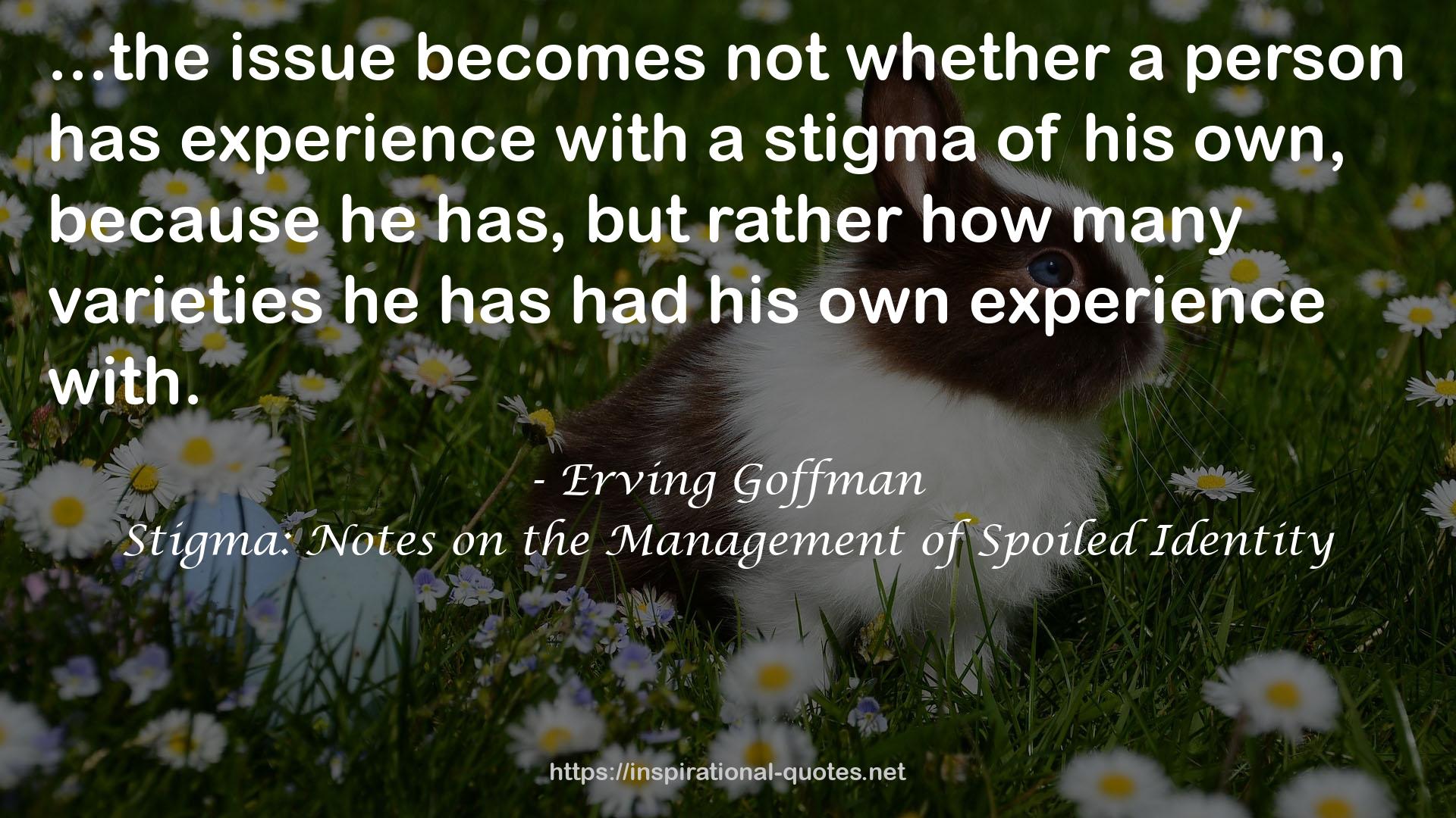 Stigma: Notes on the Management of Spoiled Identity QUOTES