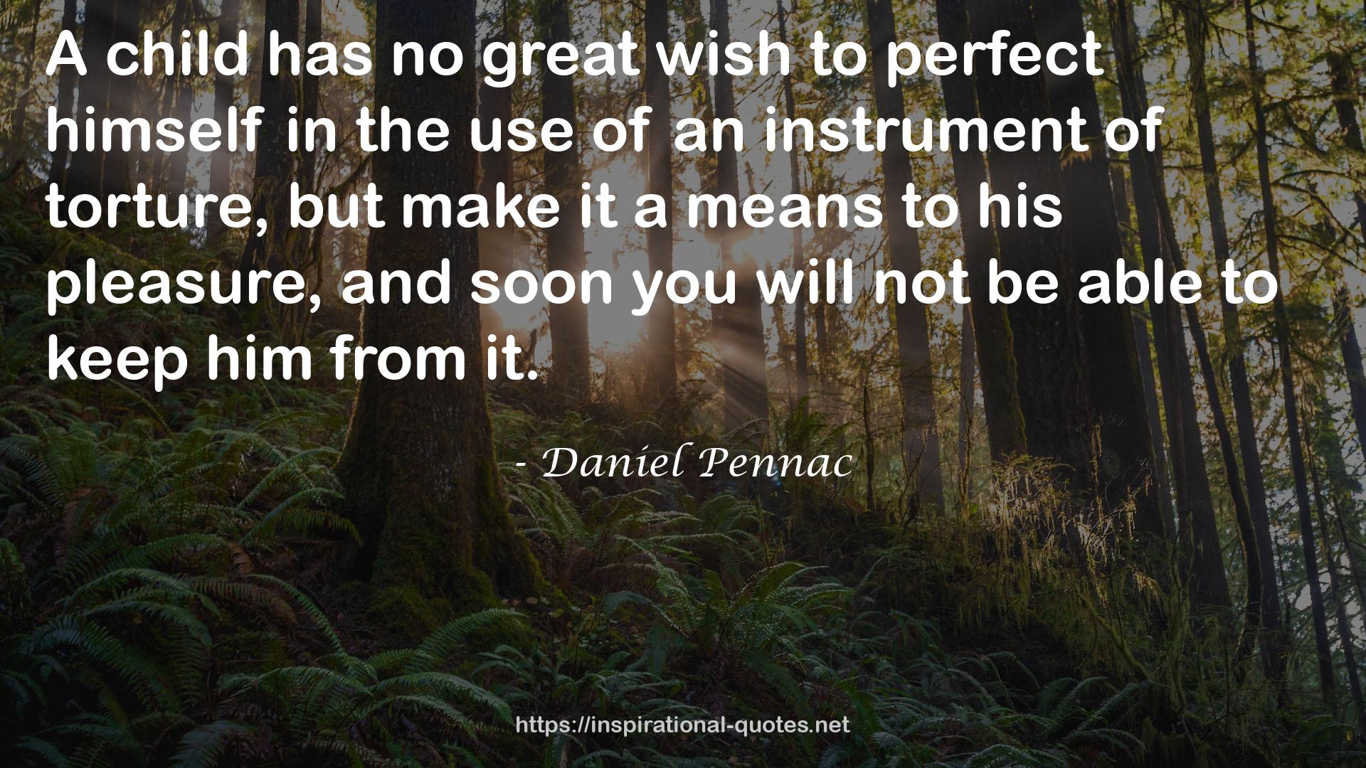 Daniel Pennac QUOTES