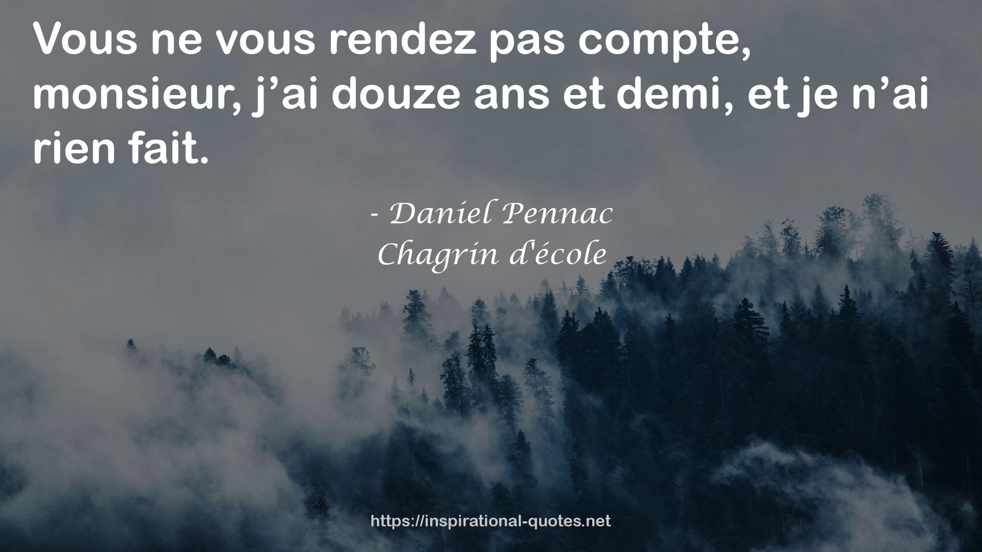 Daniel Pennac QUOTES