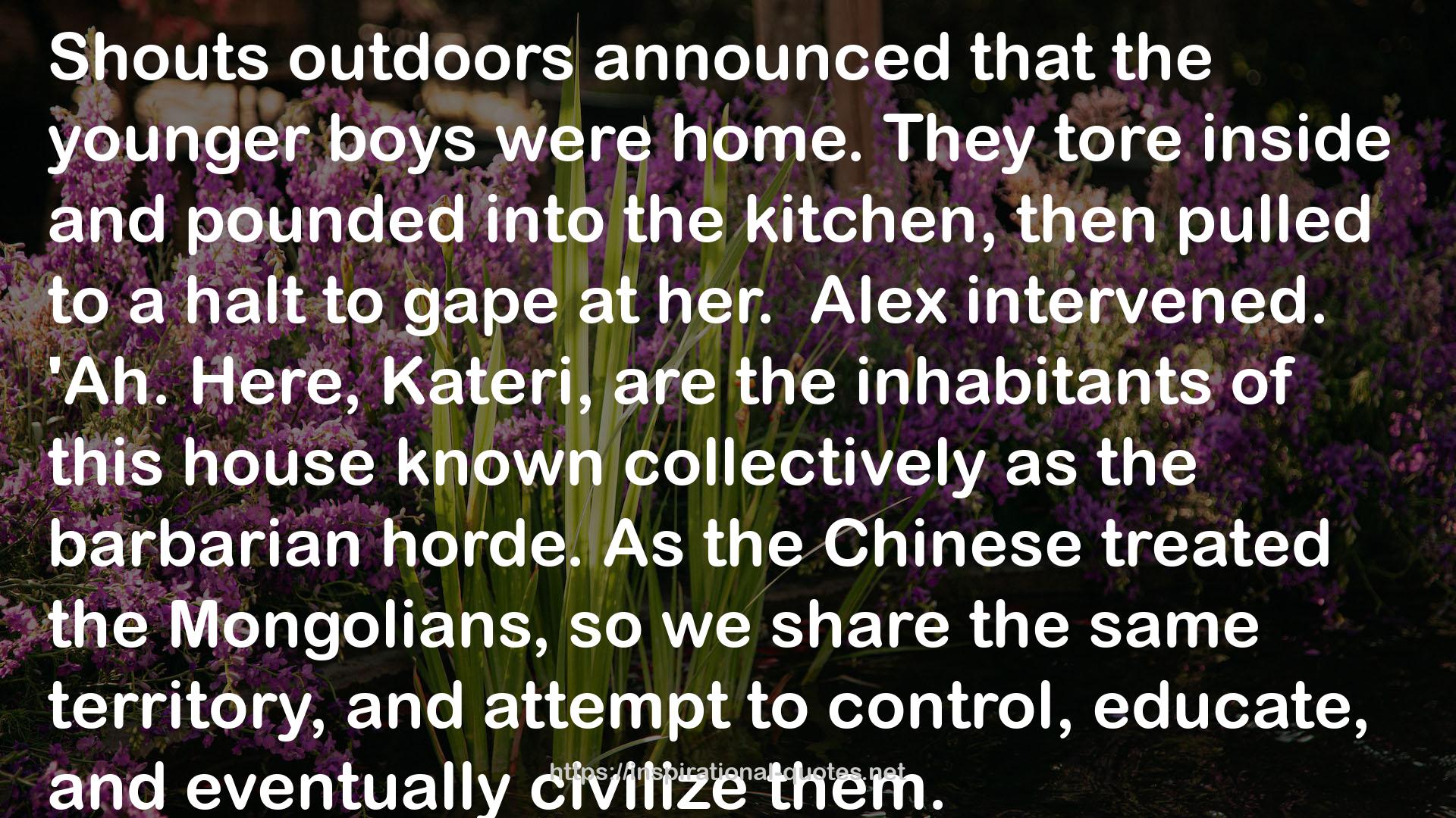 Alex O'Donnell and the 40 CyberThieves (A Fairy Tale Retold #5) QUOTES