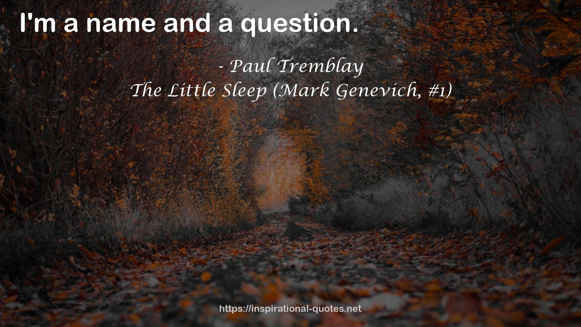 The Little Sleep (Mark Genevich, #1) QUOTES