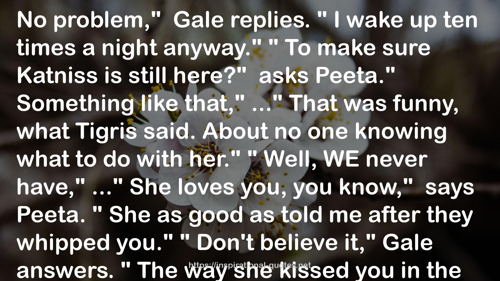 Gale  QUOTES