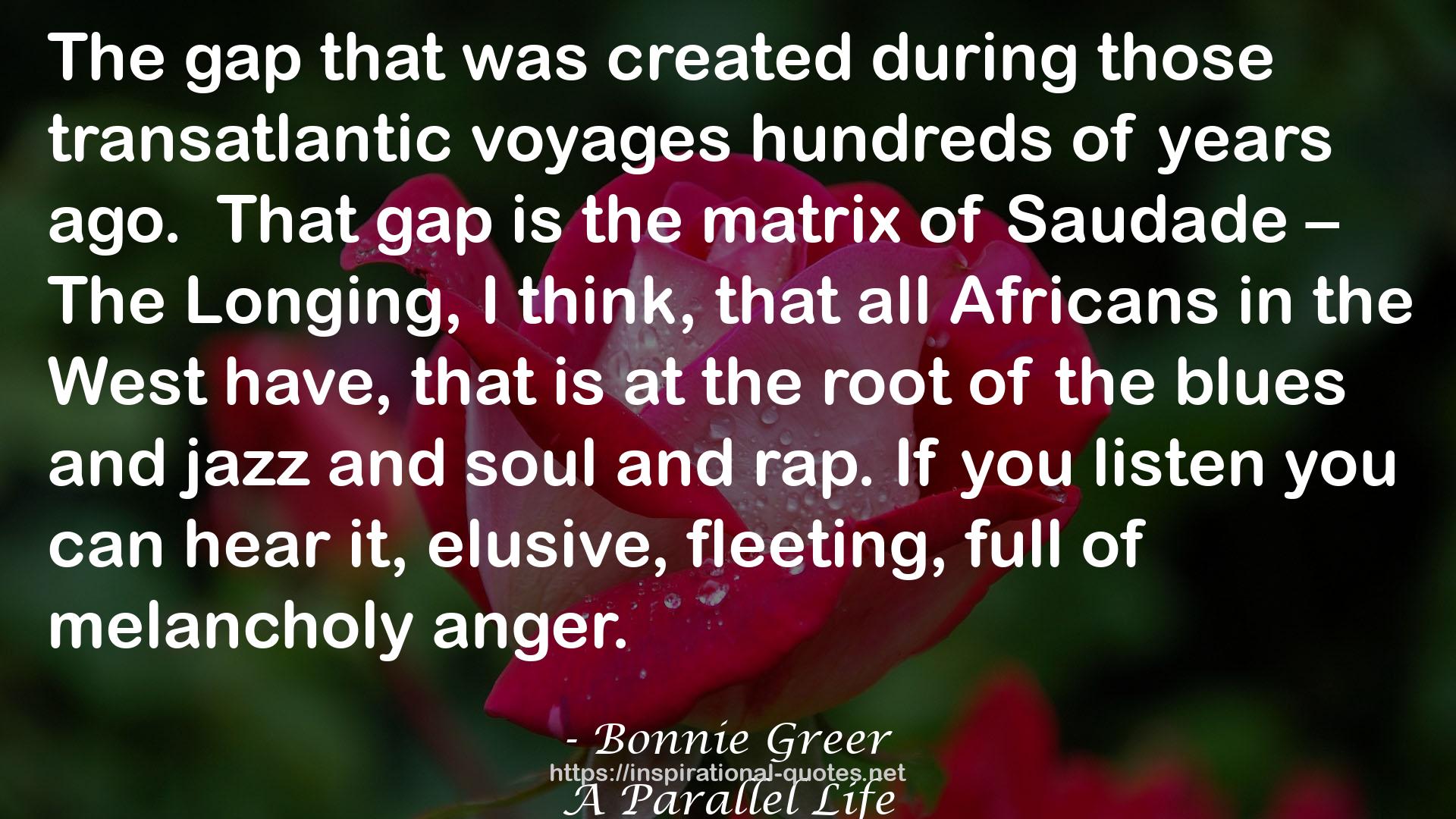 Bonnie Greer QUOTES
