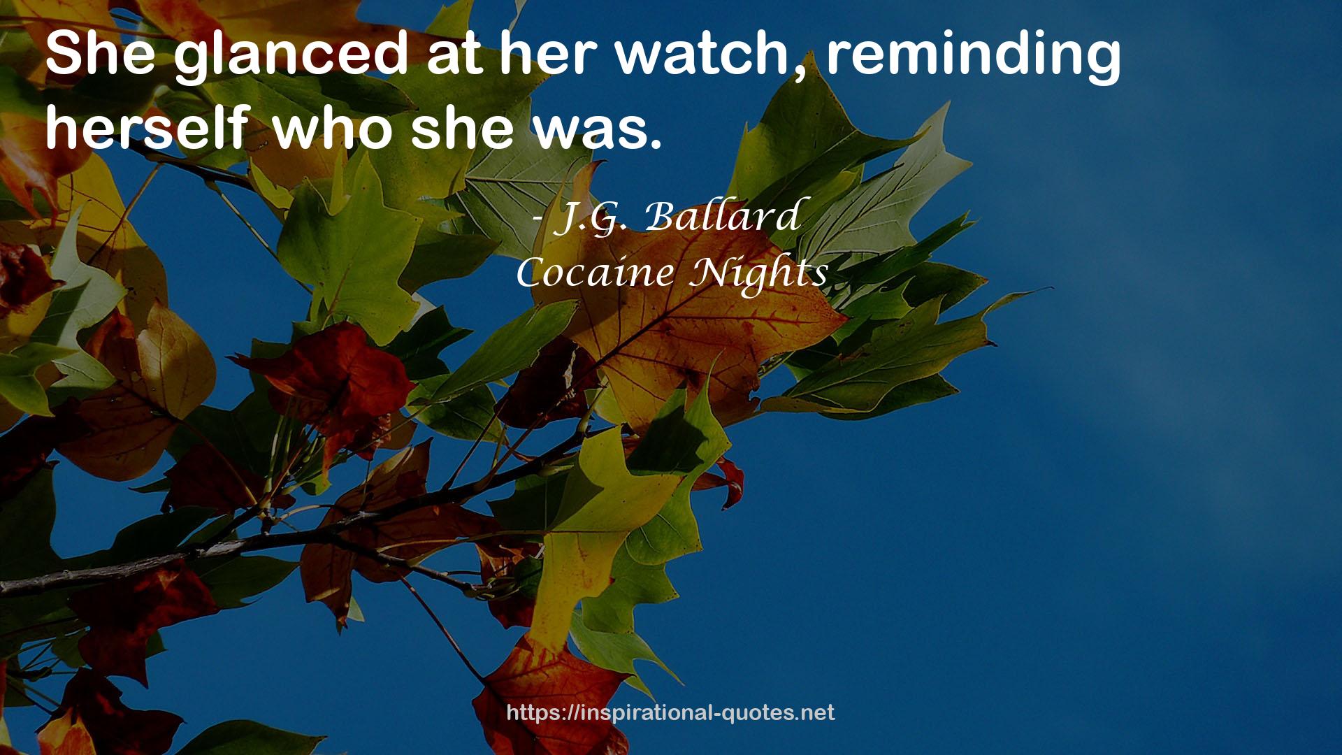 Cocaine Nights QUOTES