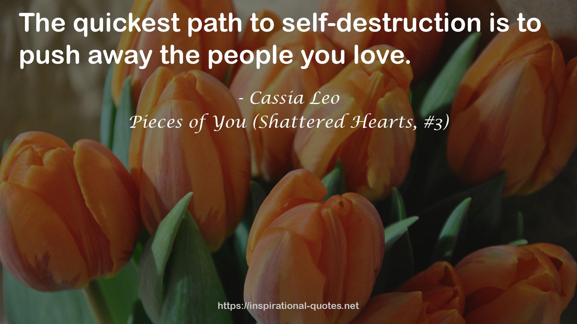 Pieces of You (Shattered Hearts, #3) QUOTES
