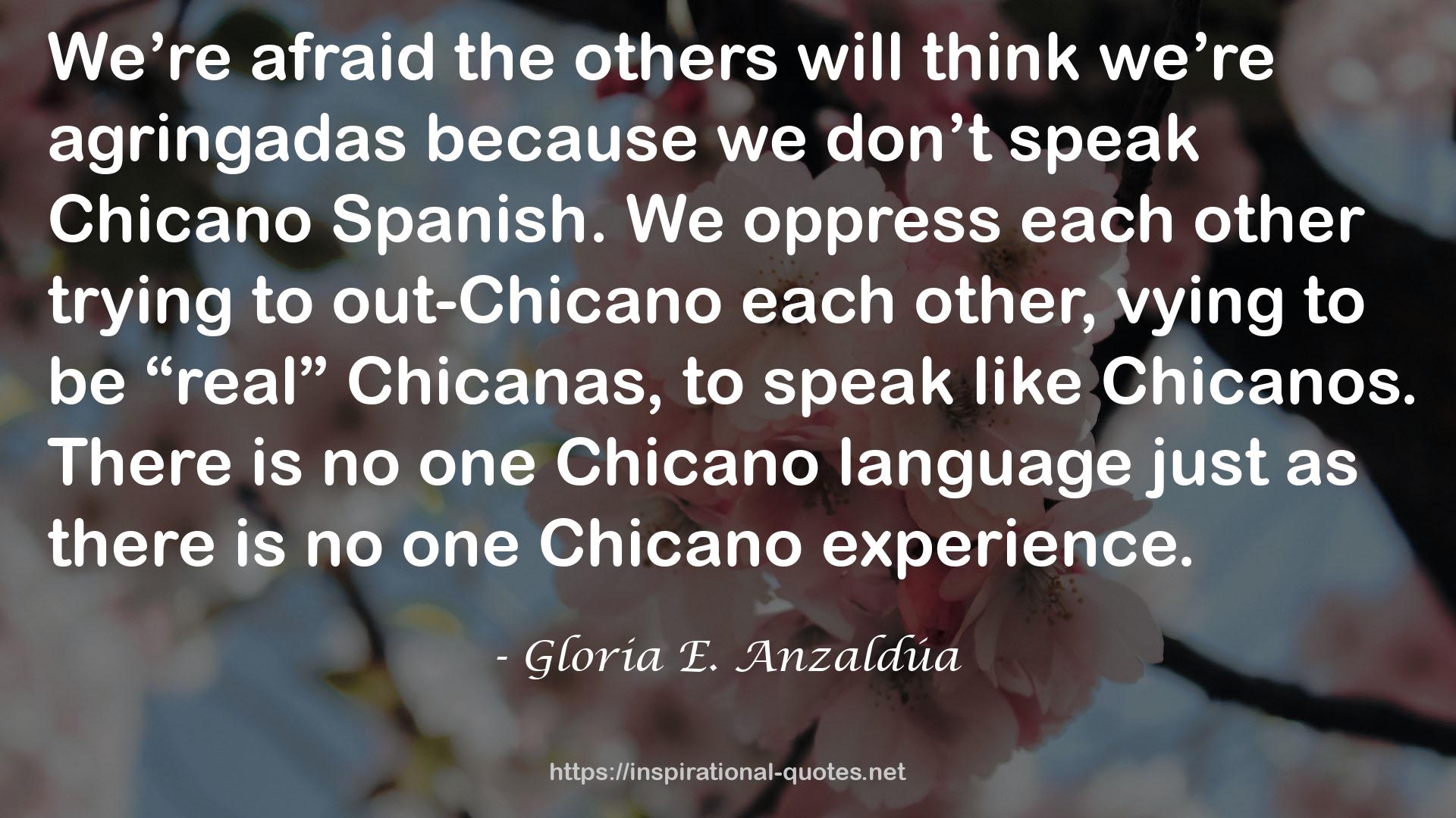 out-Chicano  QUOTES