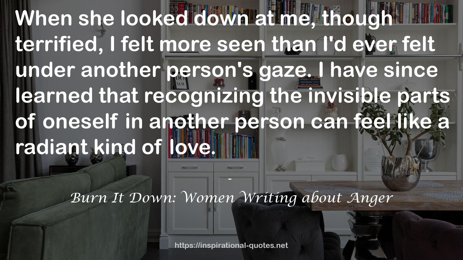 Burn It Down: Women Writing about Anger QUOTES