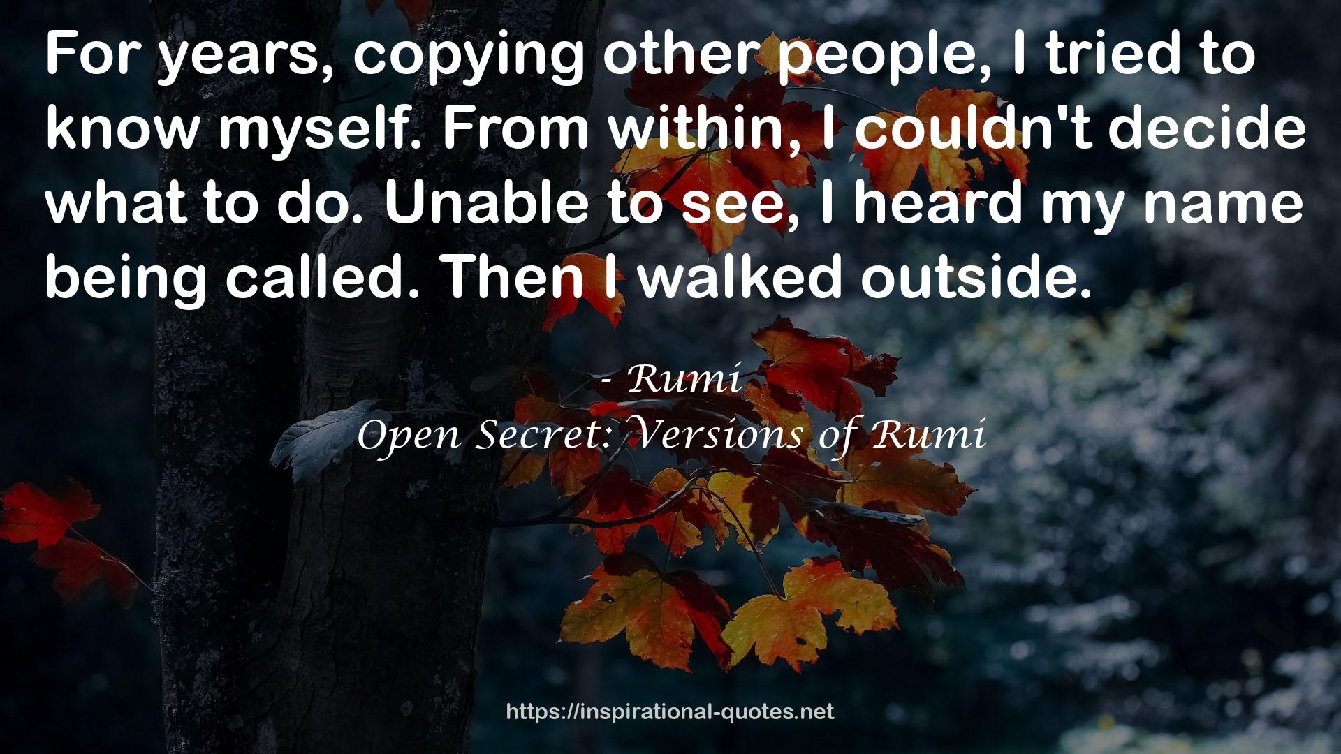 Open Secret: Versions of Rumi QUOTES