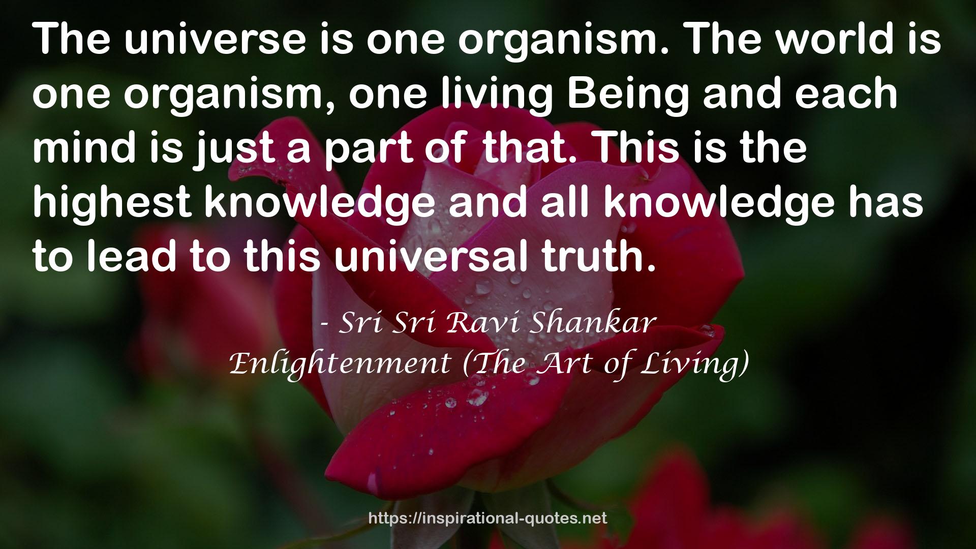 Enlightenment (The Art of Living) QUOTES
