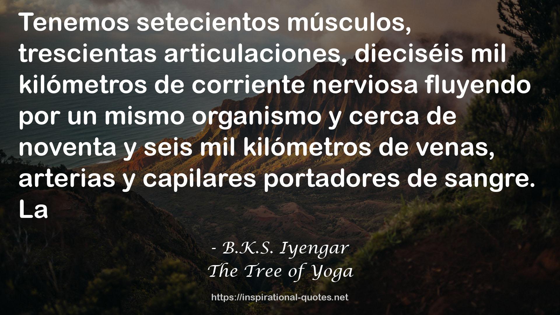 The Tree of Yoga QUOTES