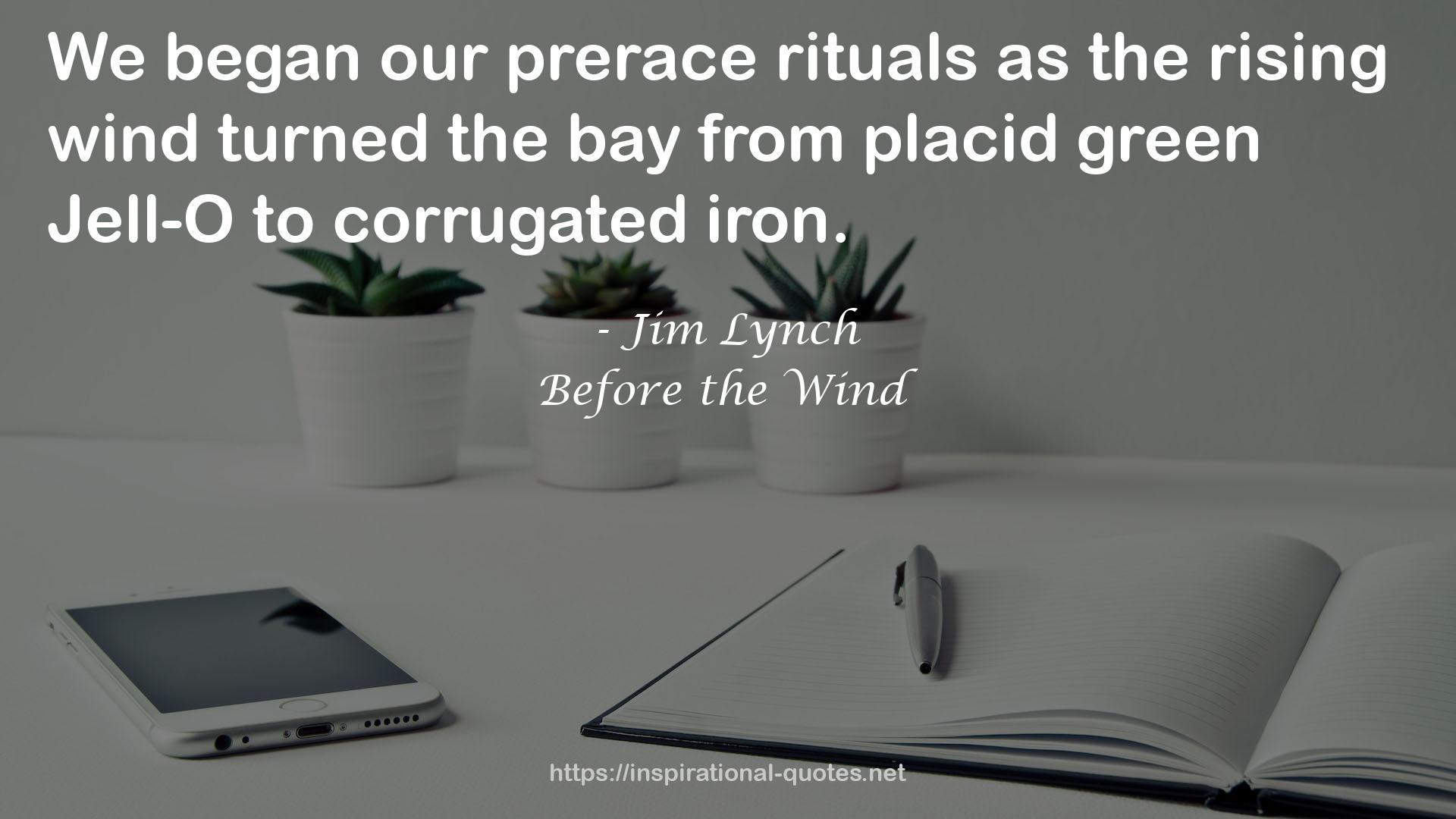 Before the Wind QUOTES