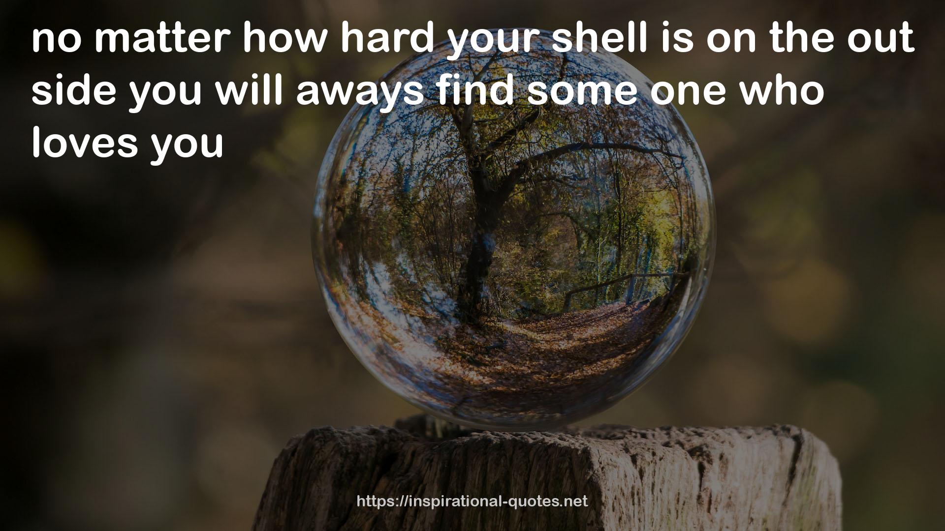 your shell  QUOTES