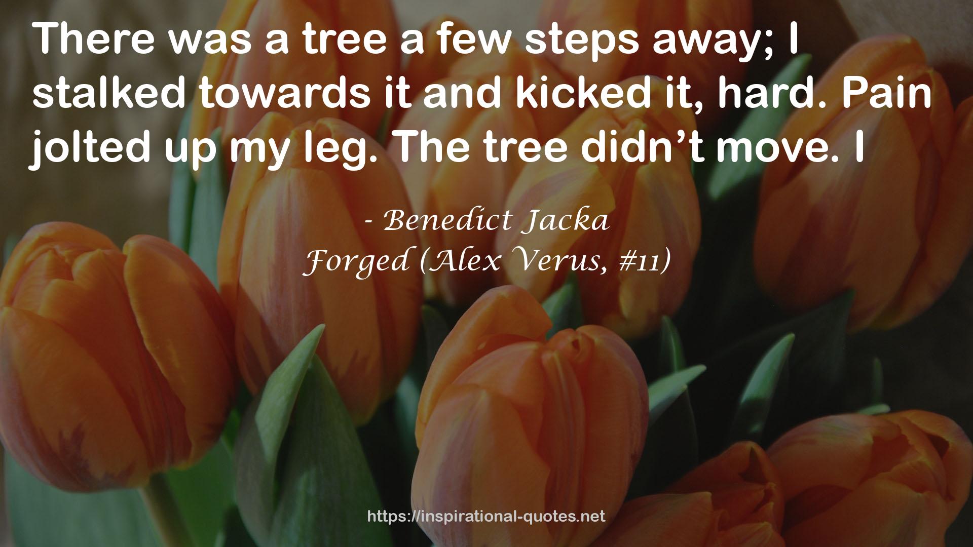 Benedict Jacka QUOTES