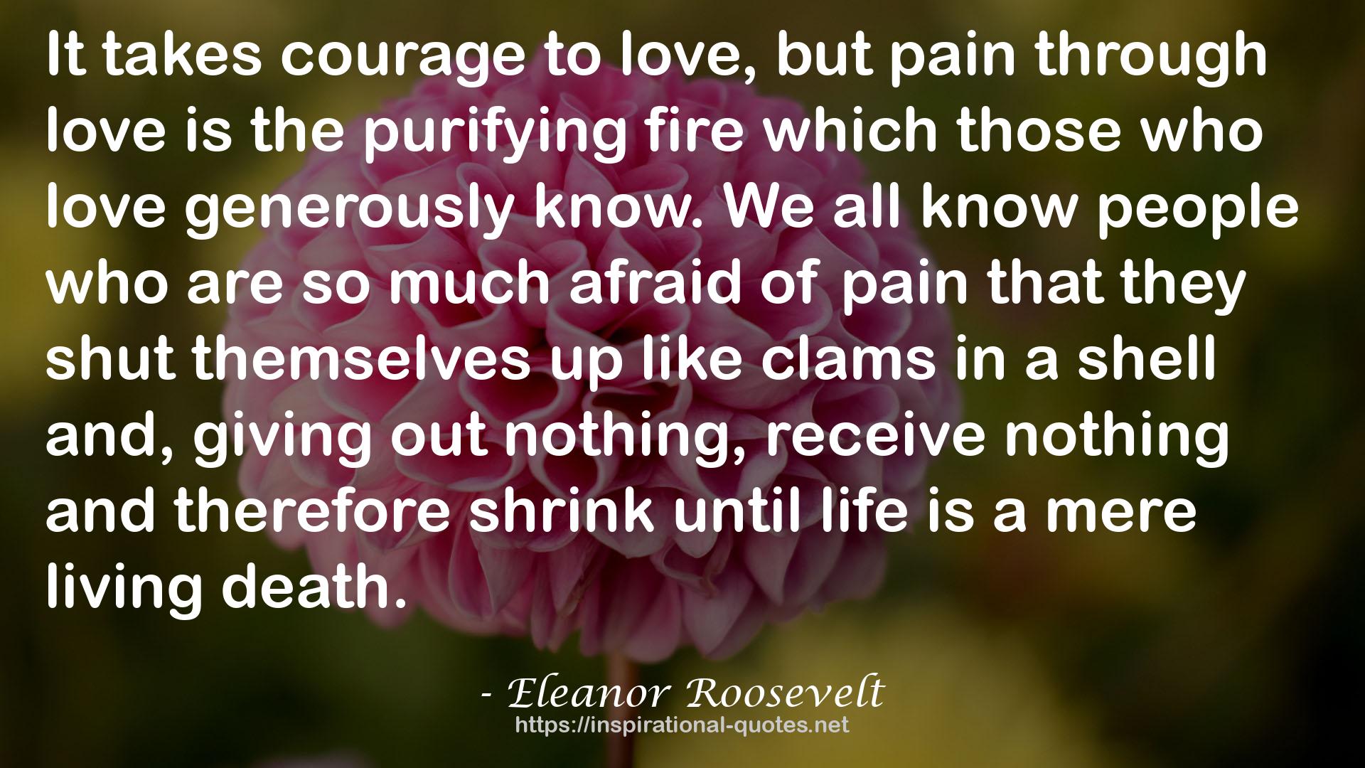 Eleanor Roosevelt QUOTES