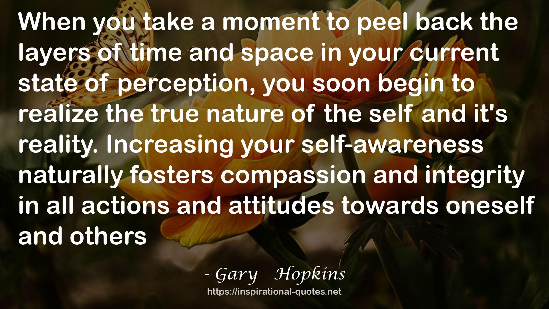 Gary   Hopkins QUOTES