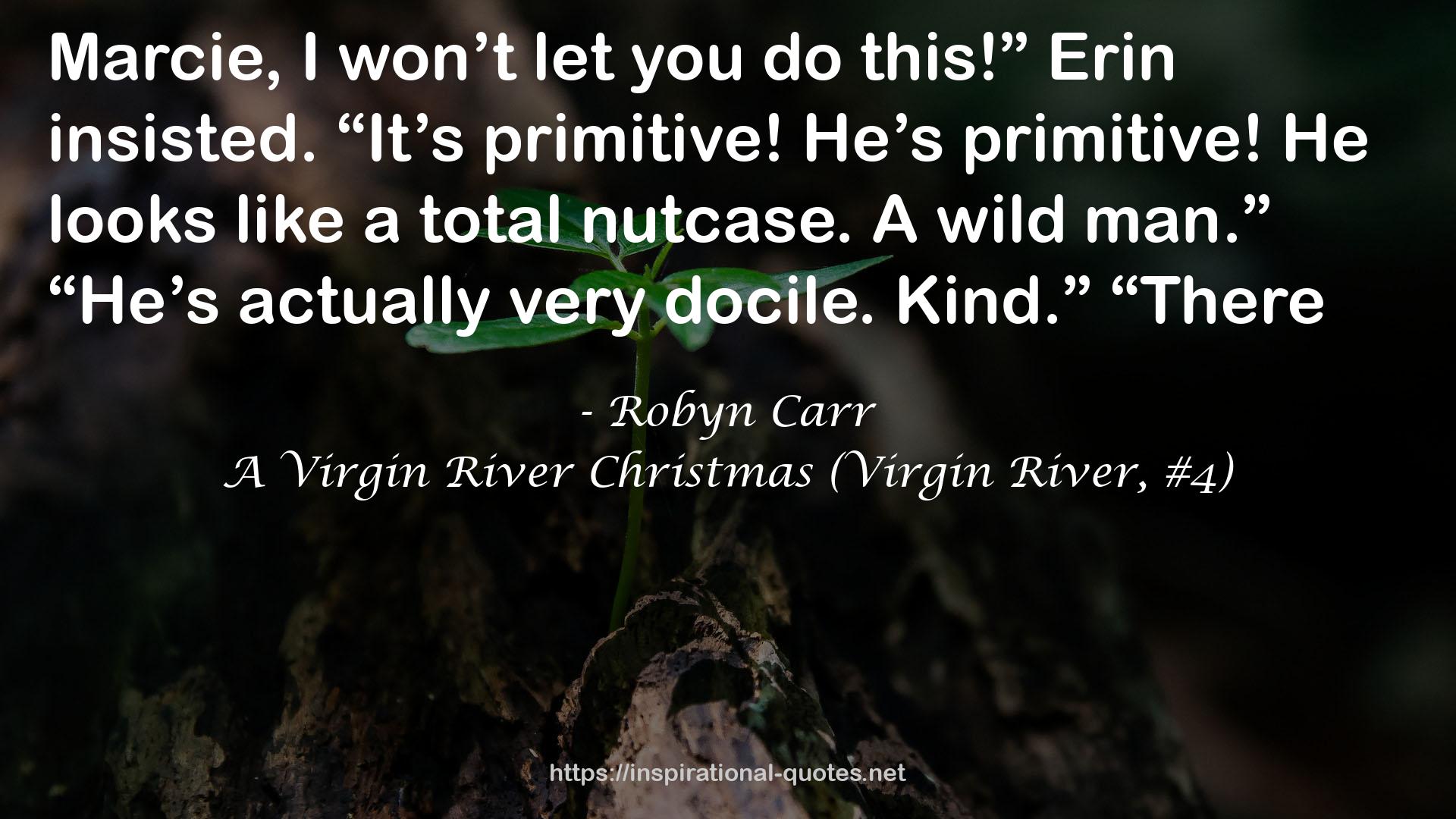 A Virgin River Christmas (Virgin River, #4) QUOTES