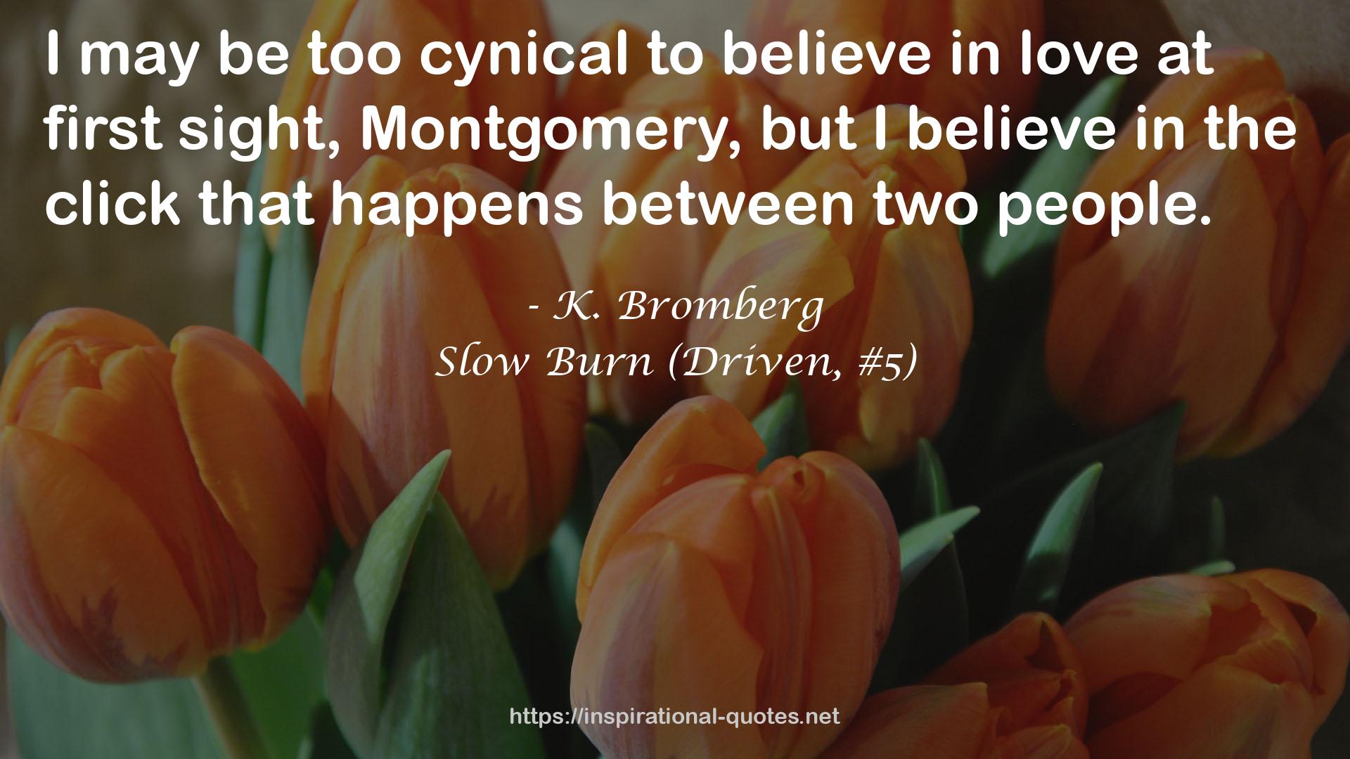 Slow Burn (Driven, #5) QUOTES
