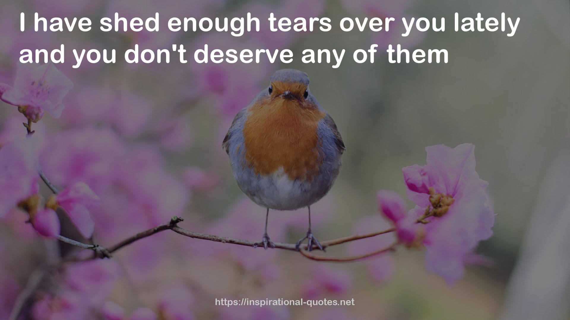 enough tears  QUOTES