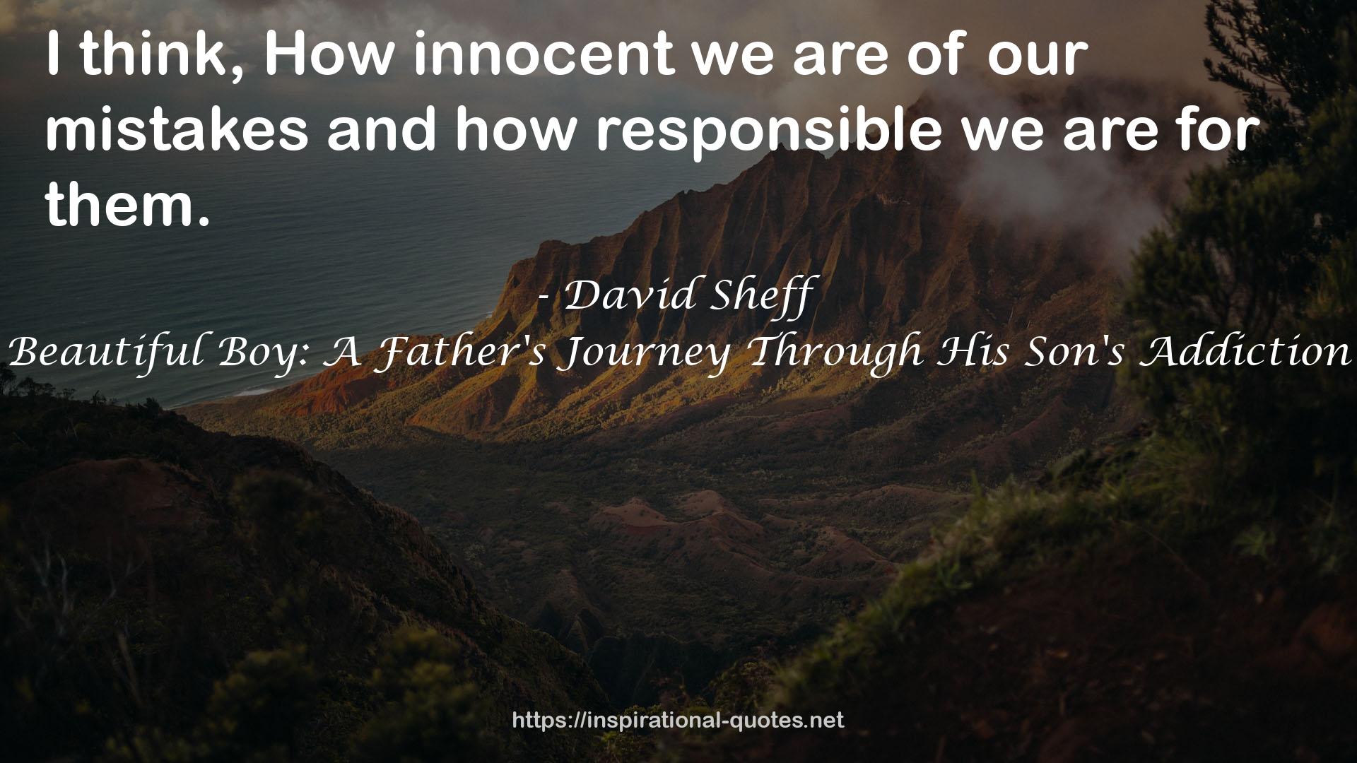 David Sheff QUOTES