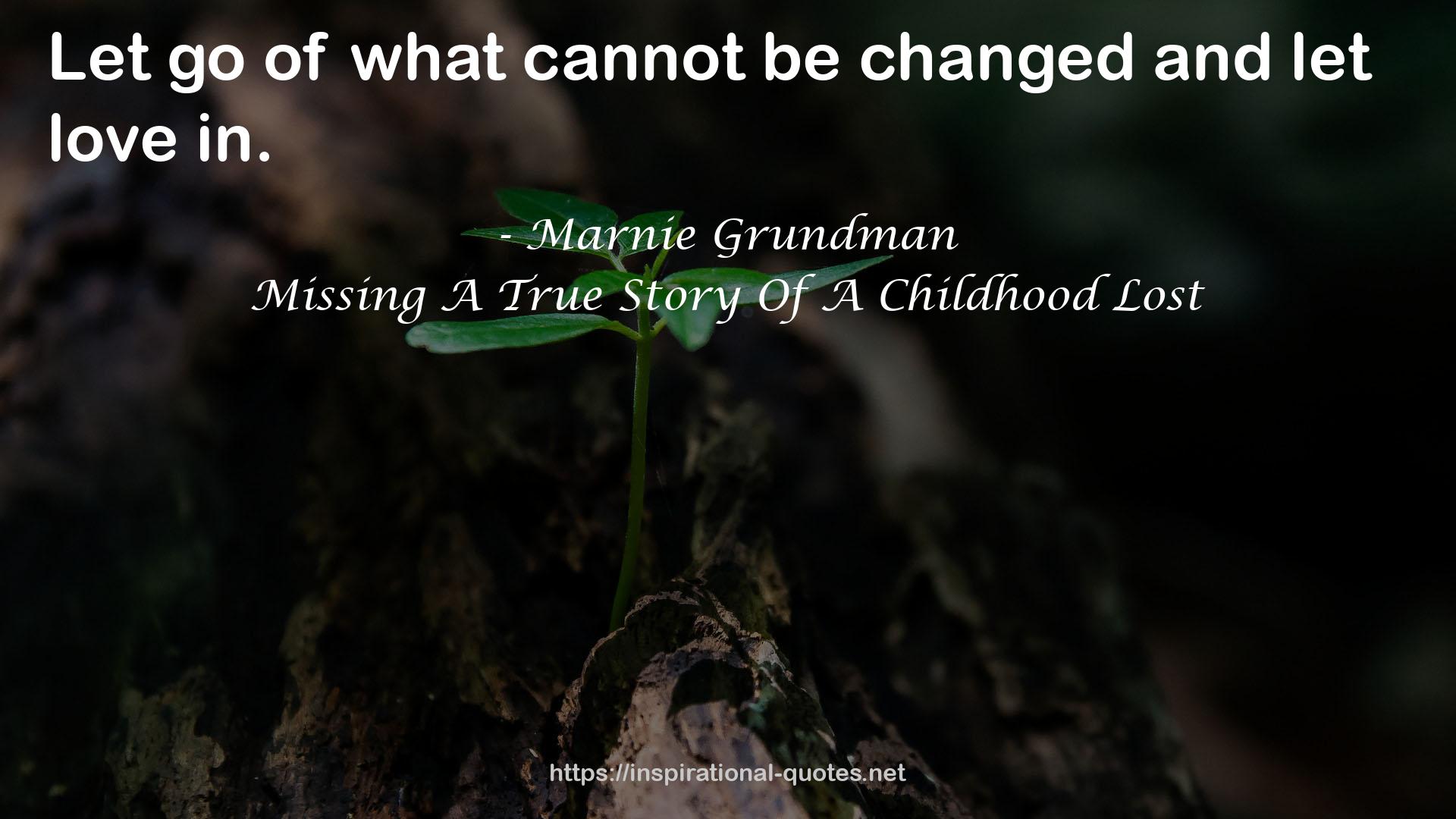 Missing A True Story Of A Childhood Lost QUOTES