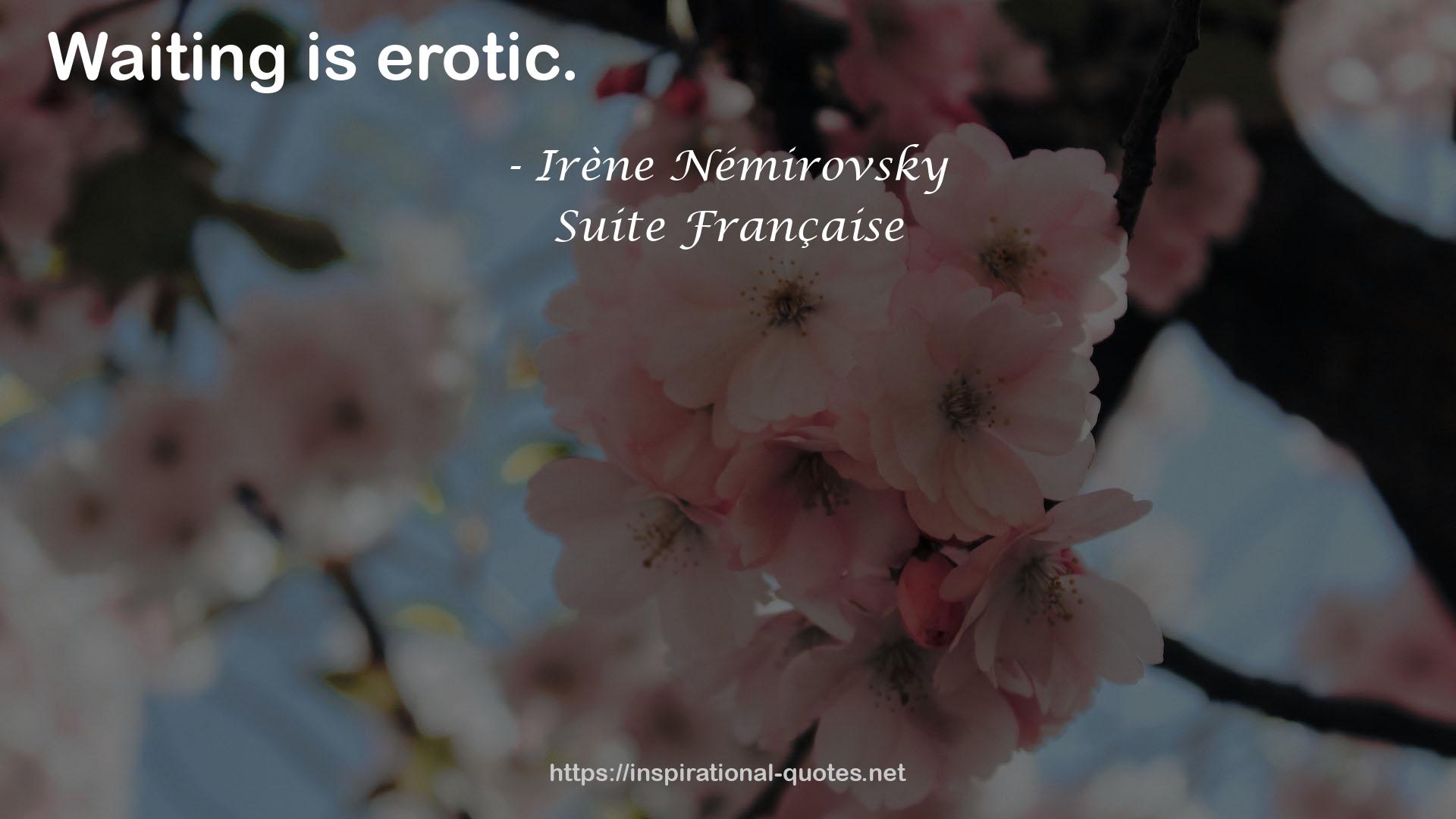 Irène Némirovsky QUOTES