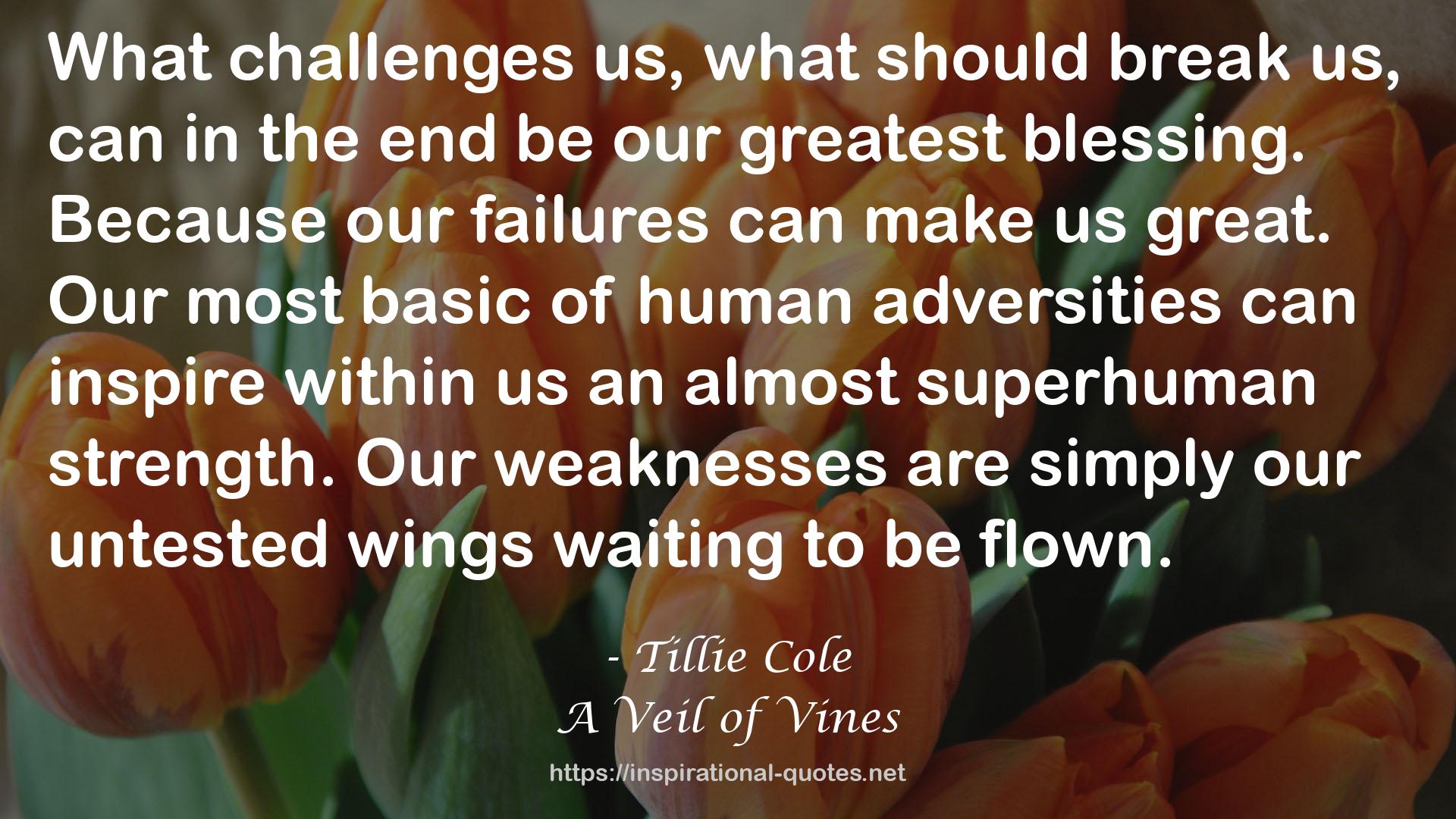 A Veil of Vines QUOTES
