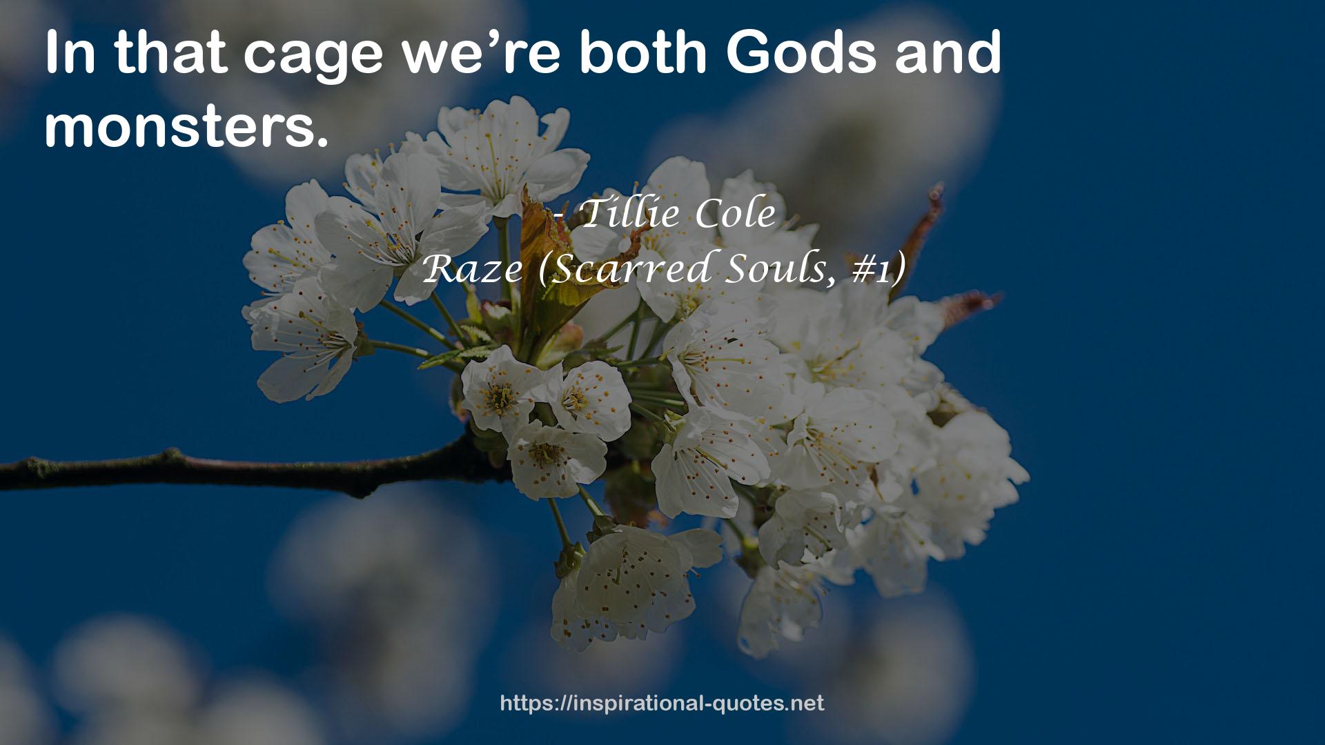 Raze (Scarred Souls, #1) QUOTES