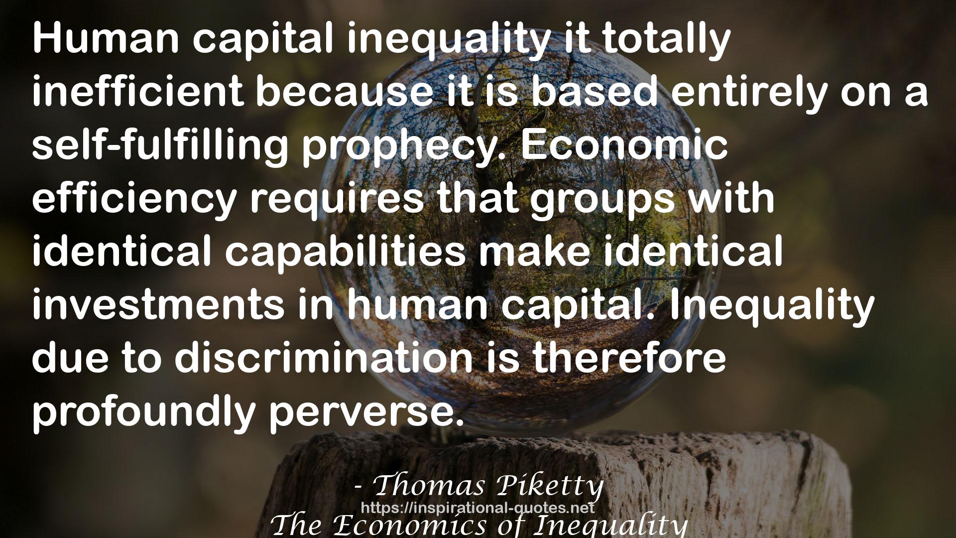 The Economics of Inequality QUOTES