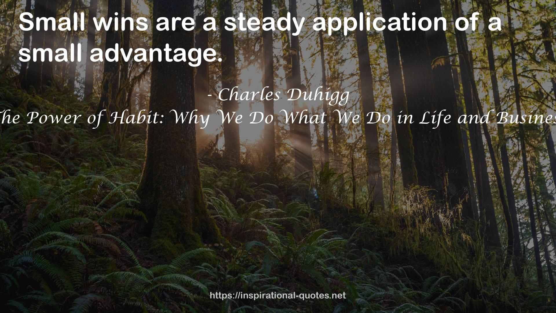 a steady application  QUOTES