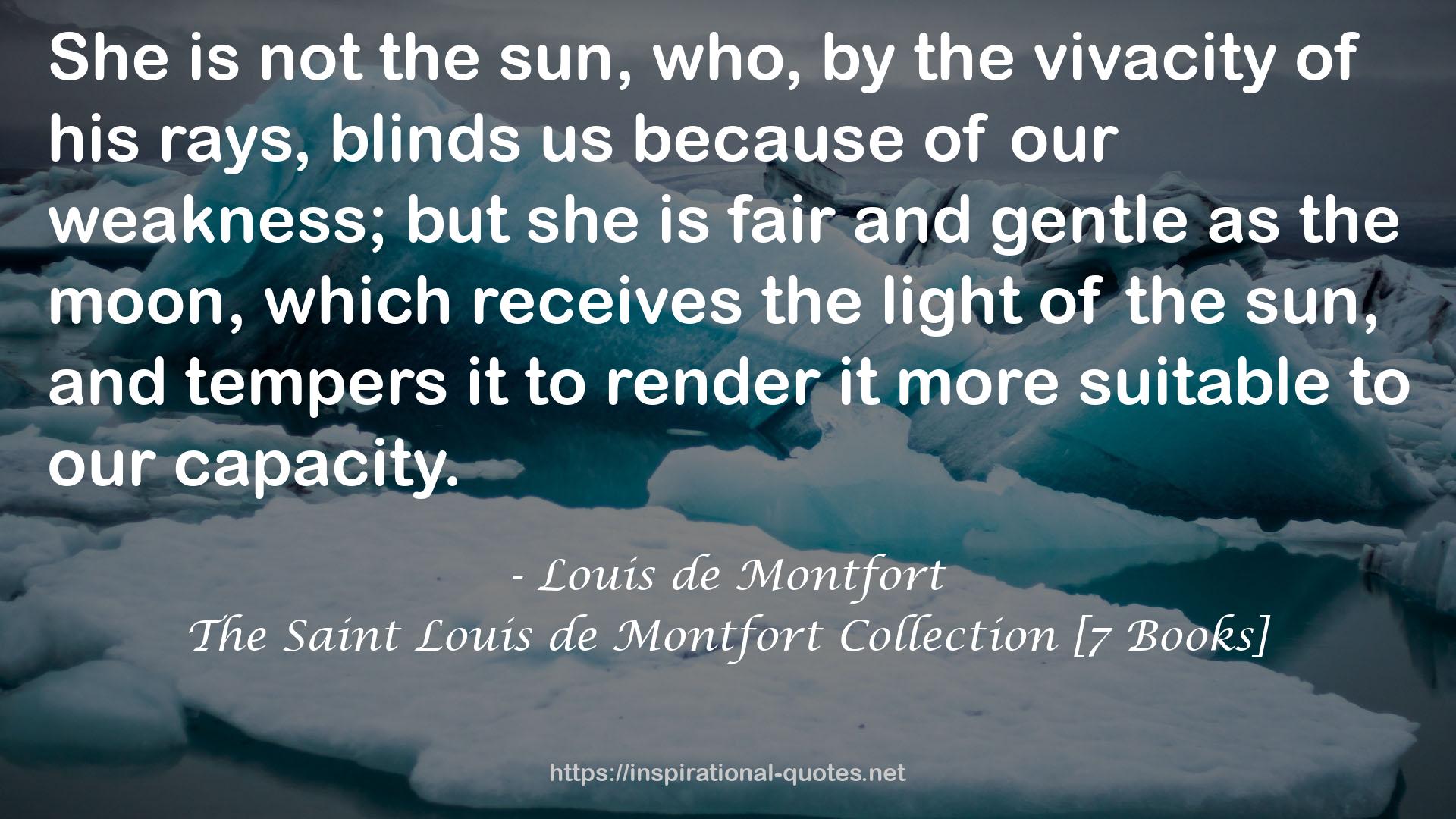 Louis de Montfort QUOTES