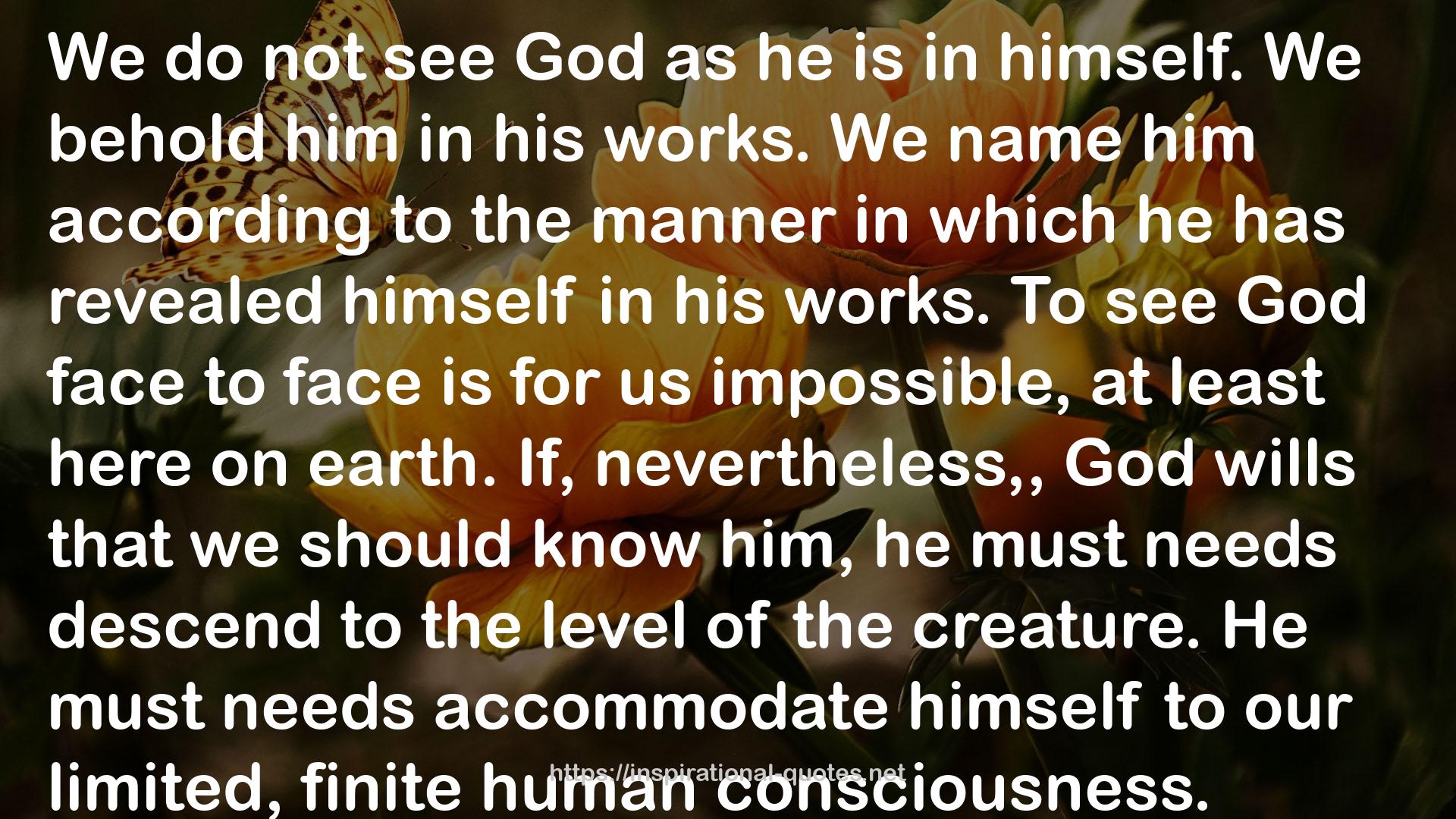 Herman Bavinck QUOTES