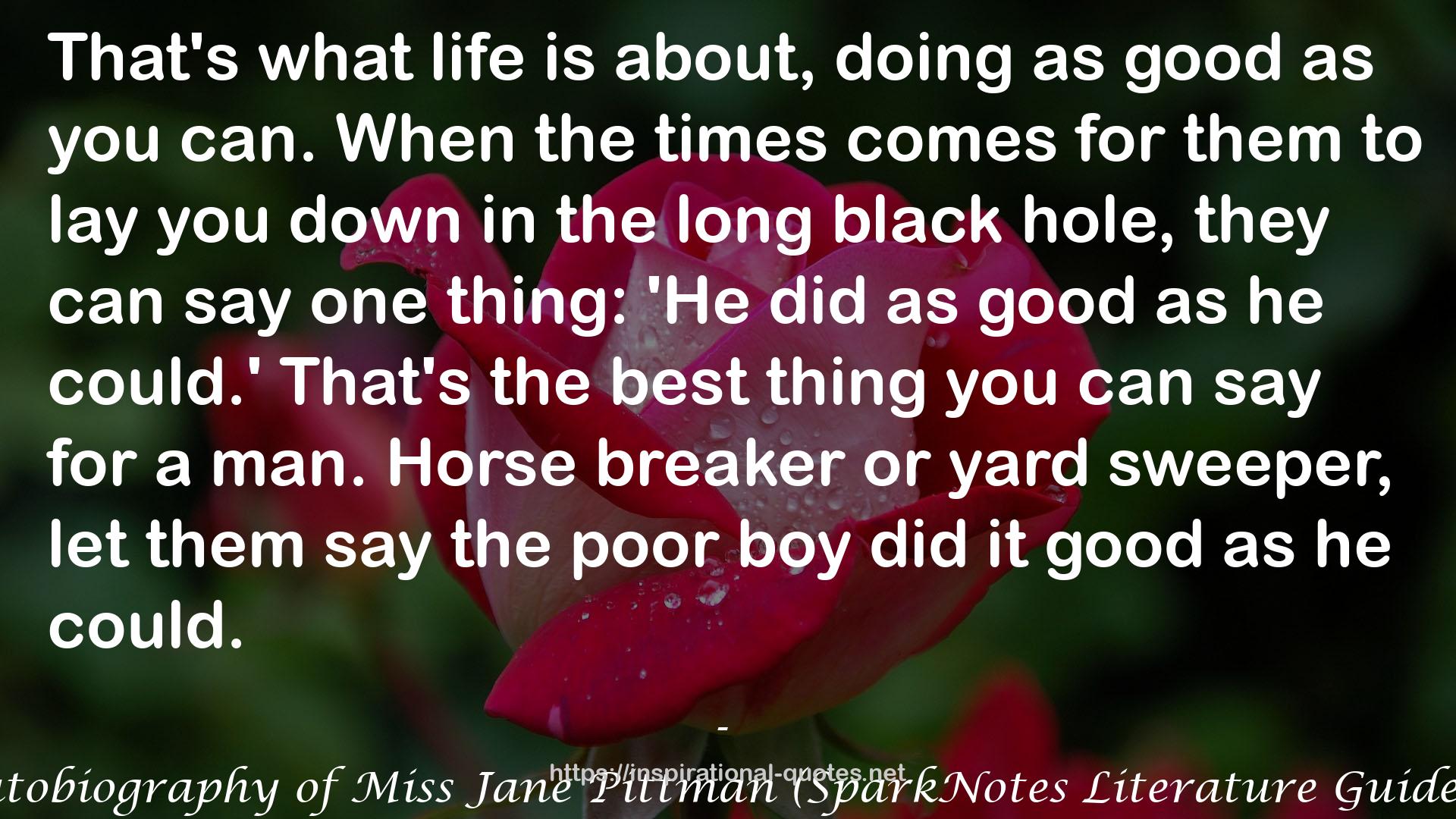 The Autobiography of Miss Jane Pittman (SparkNotes Literature Guide Series) QUOTES