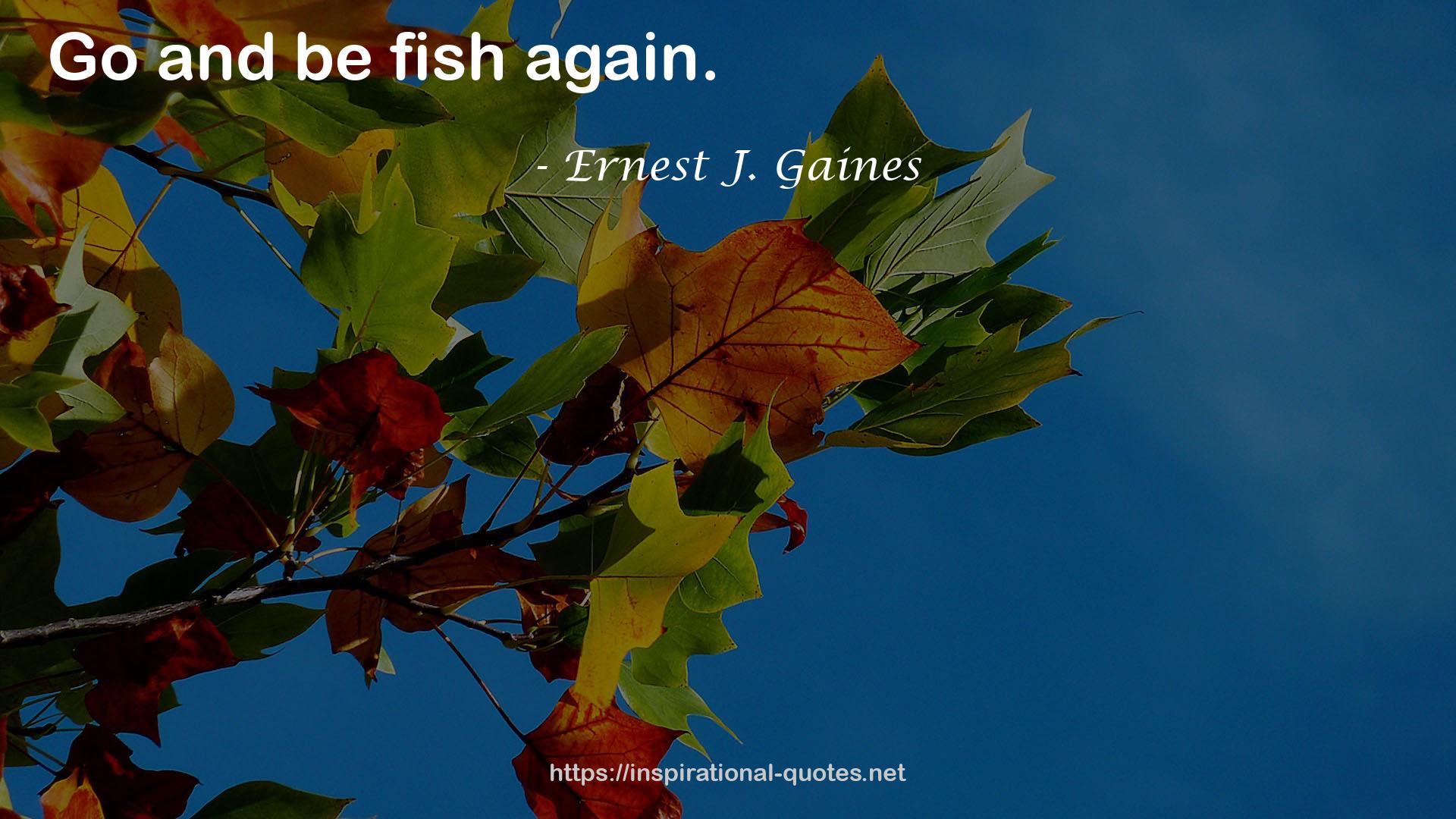 Ernest J. Gaines QUOTES