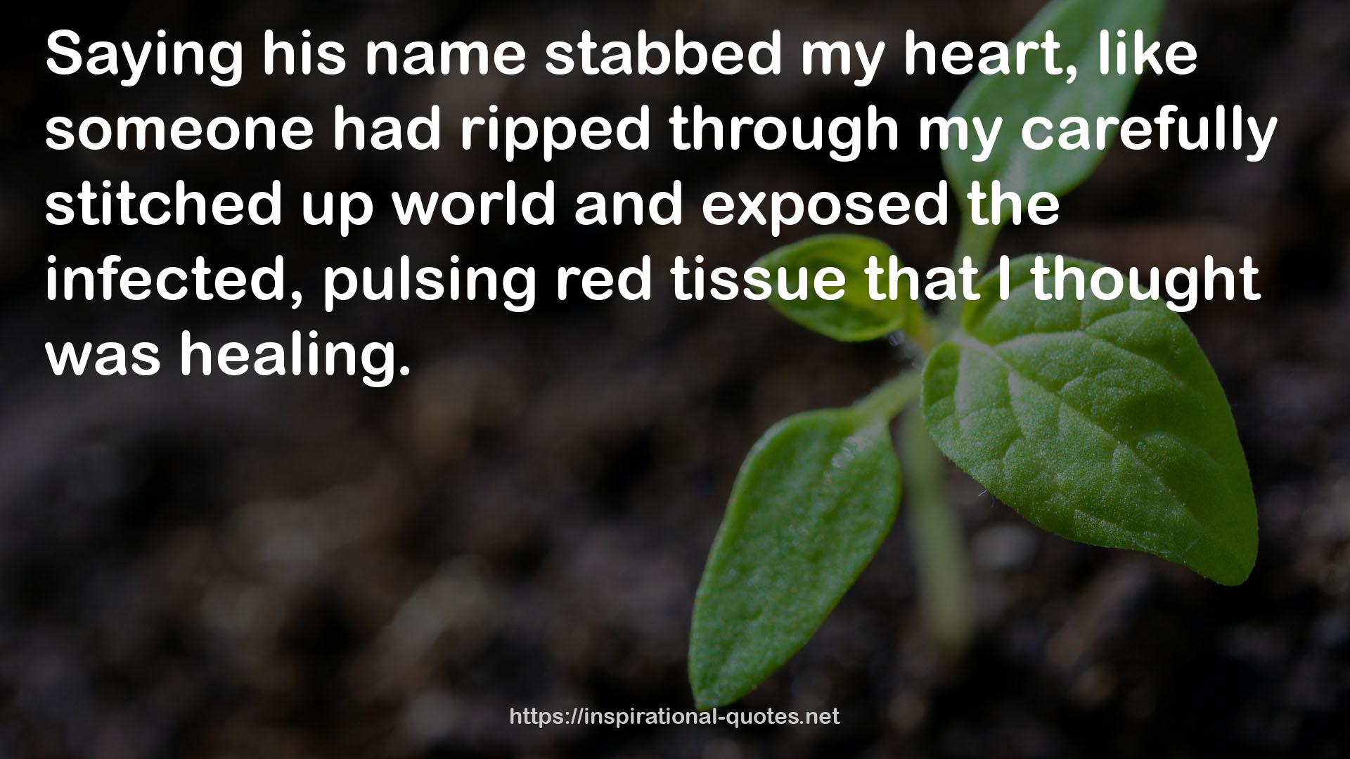 red tissue  QUOTES