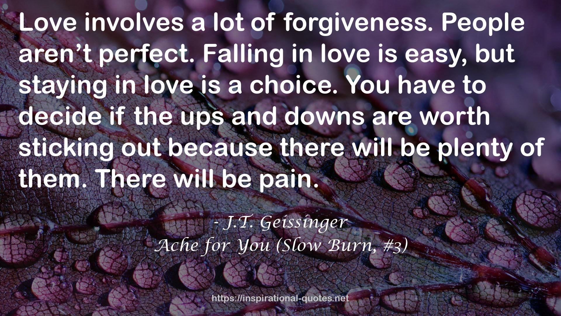 Ache for You (Slow Burn, #3) QUOTES