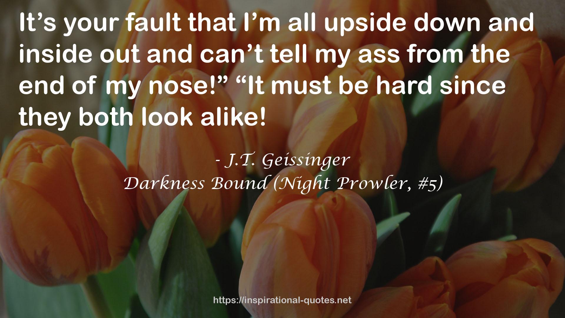 Darkness Bound (Night Prowler, #5) QUOTES