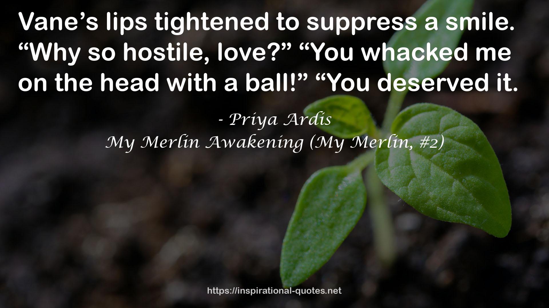 My Merlin Awakening (My Merlin, #2) QUOTES