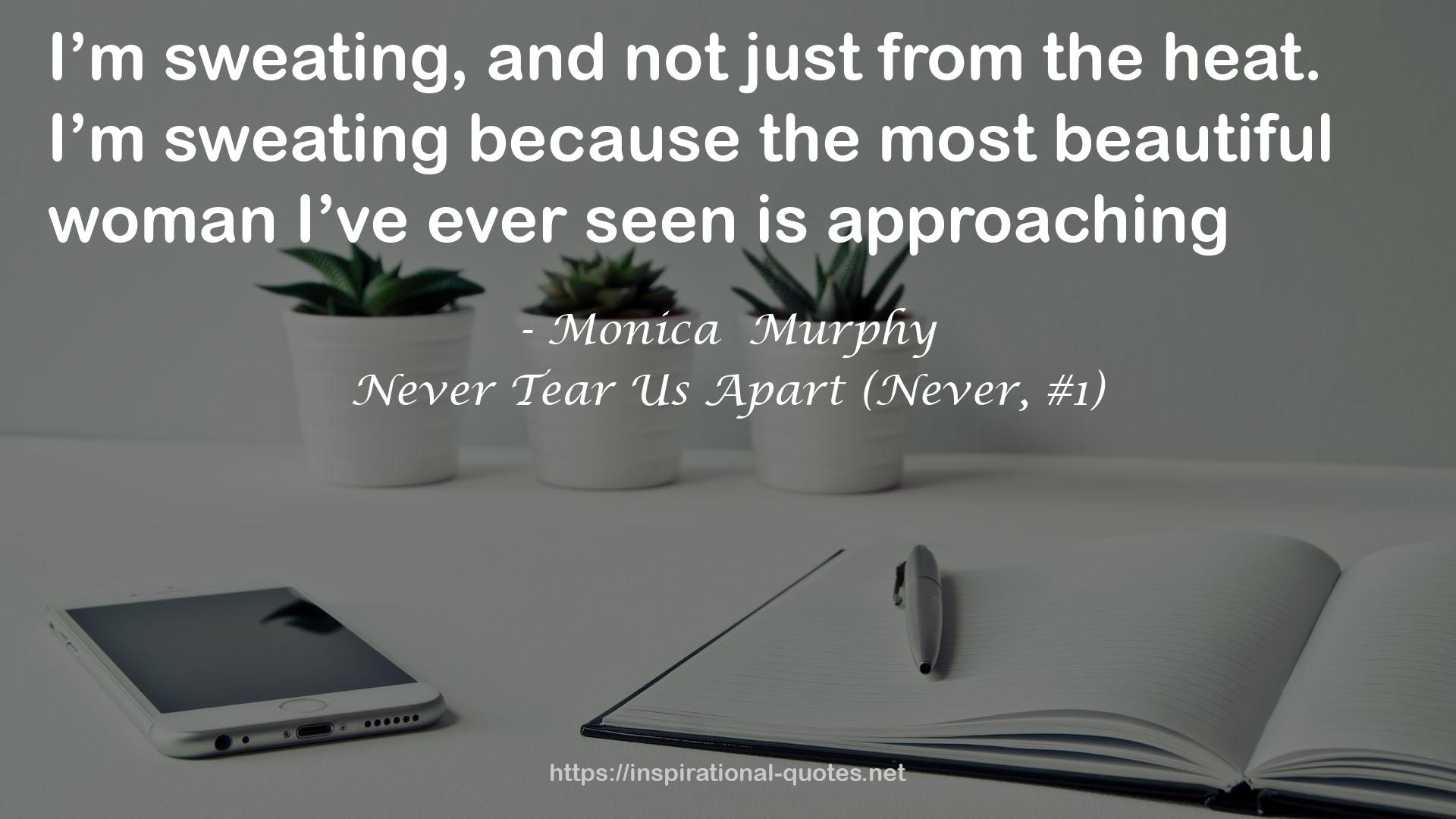 Never Tear Us Apart (Never, #1) QUOTES