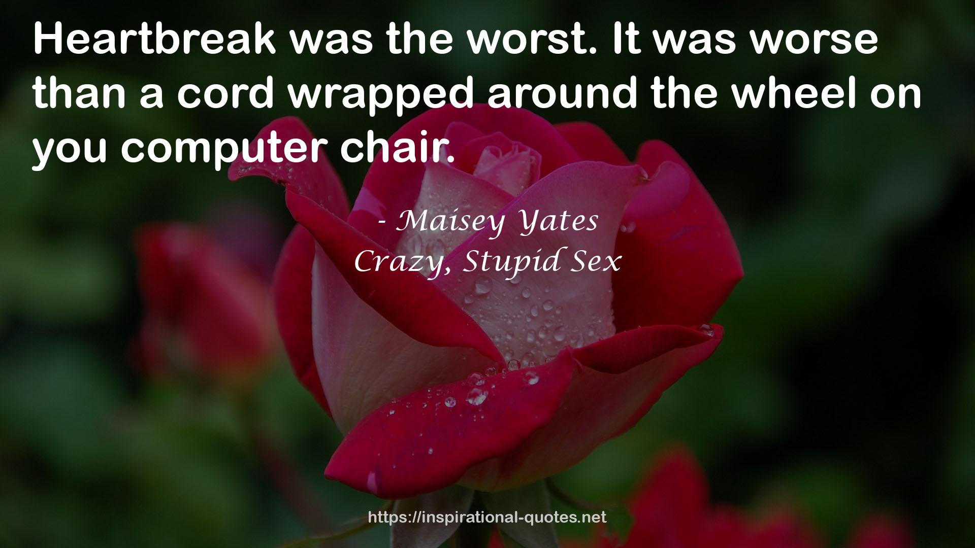 Crazy, Stupid Sex QUOTES