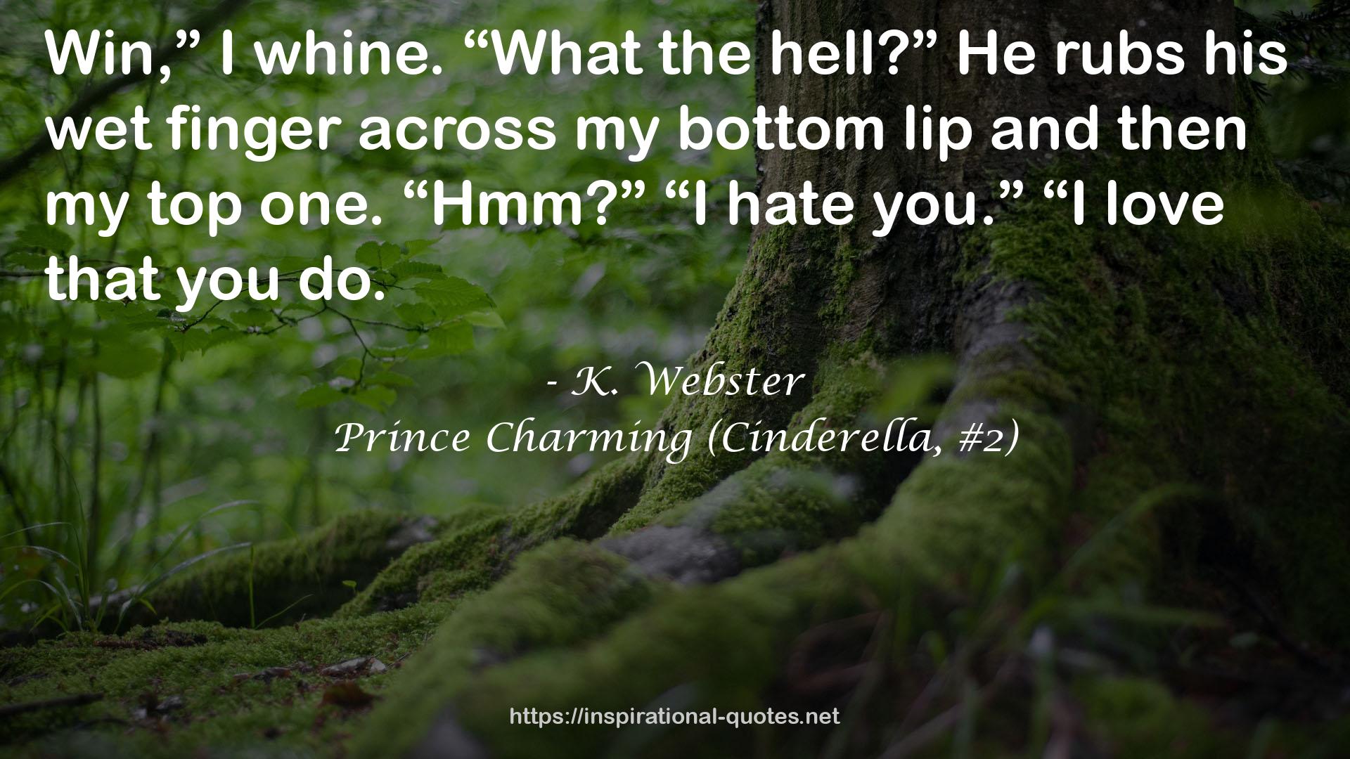 Prince Charming (Cinderella, #2) QUOTES