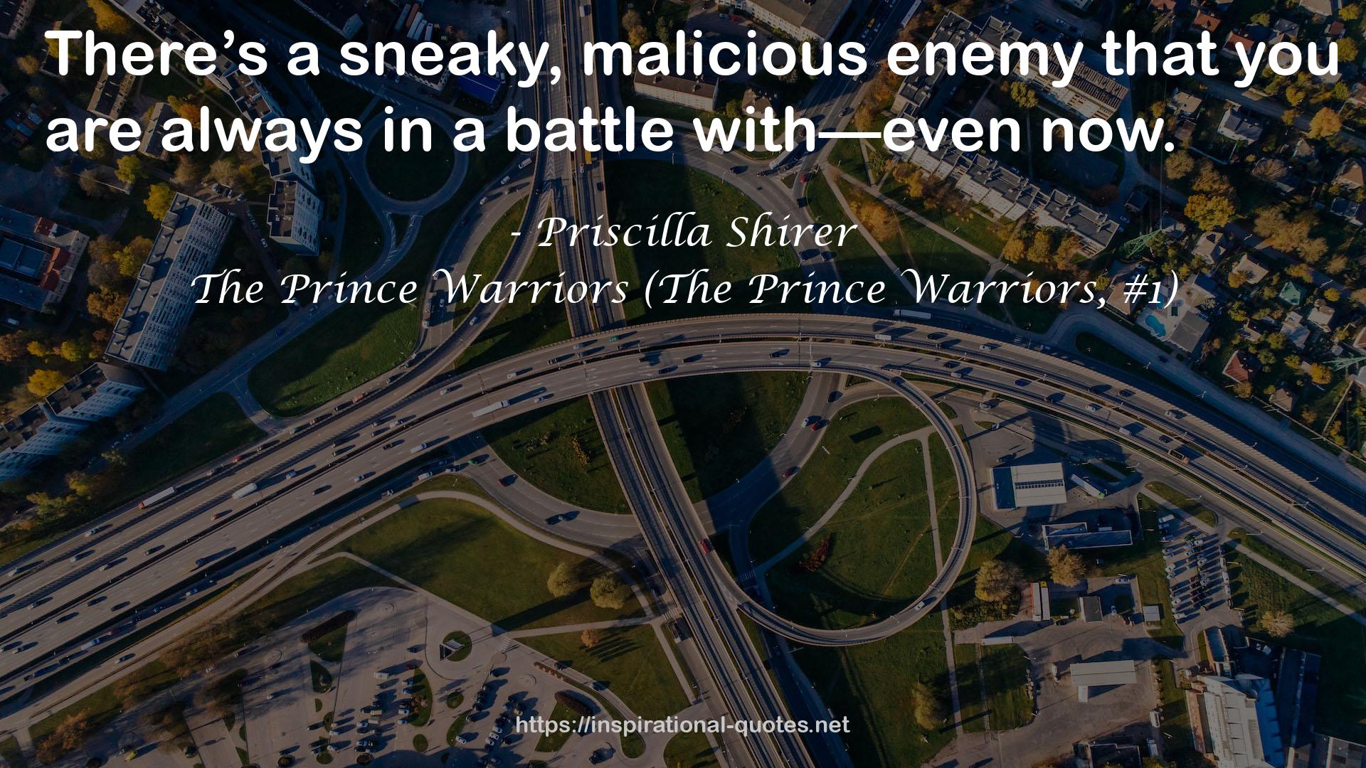 The Prince Warriors (The Prince Warriors, #1) QUOTES