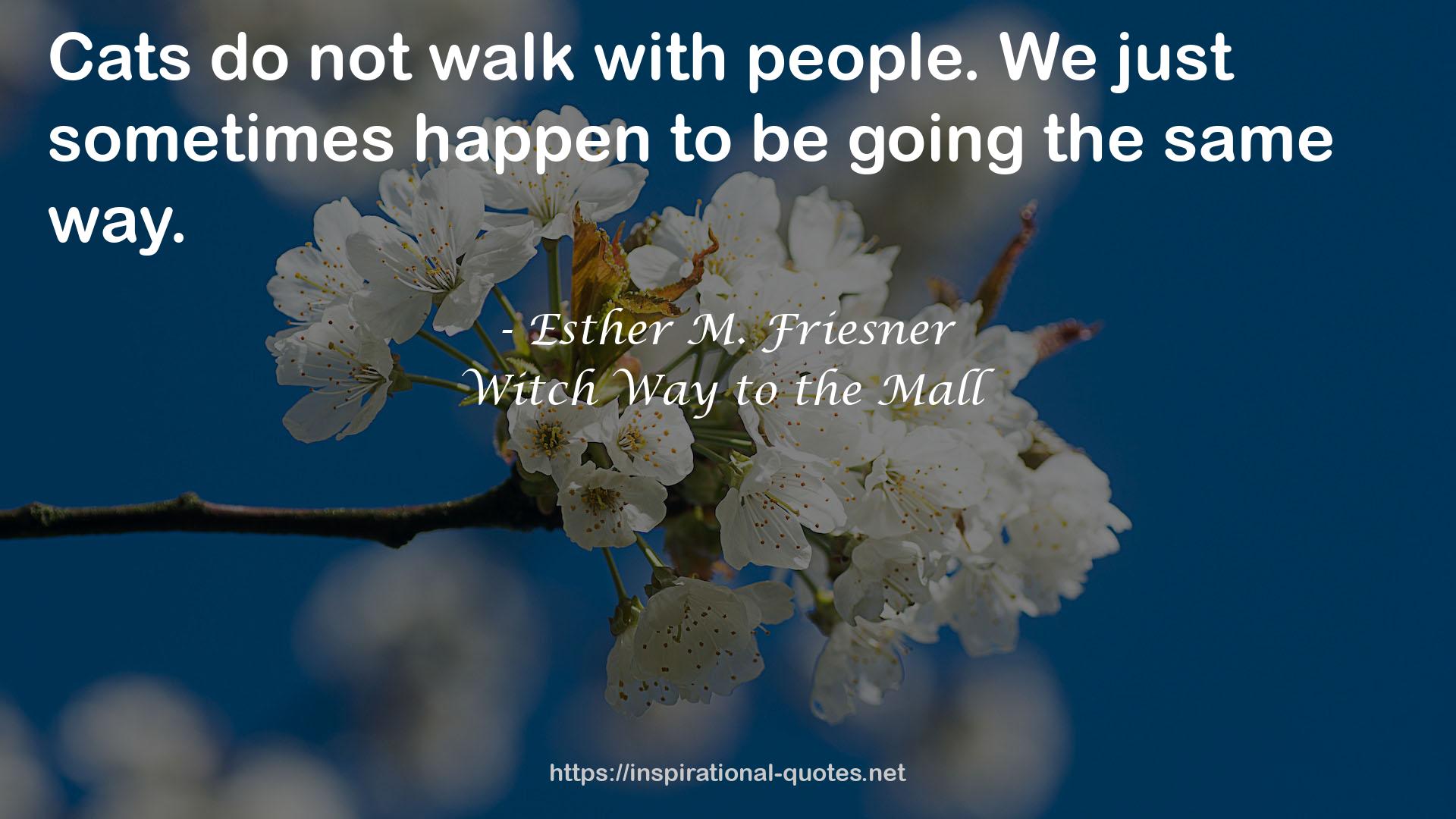 Witch Way to the Mall QUOTES