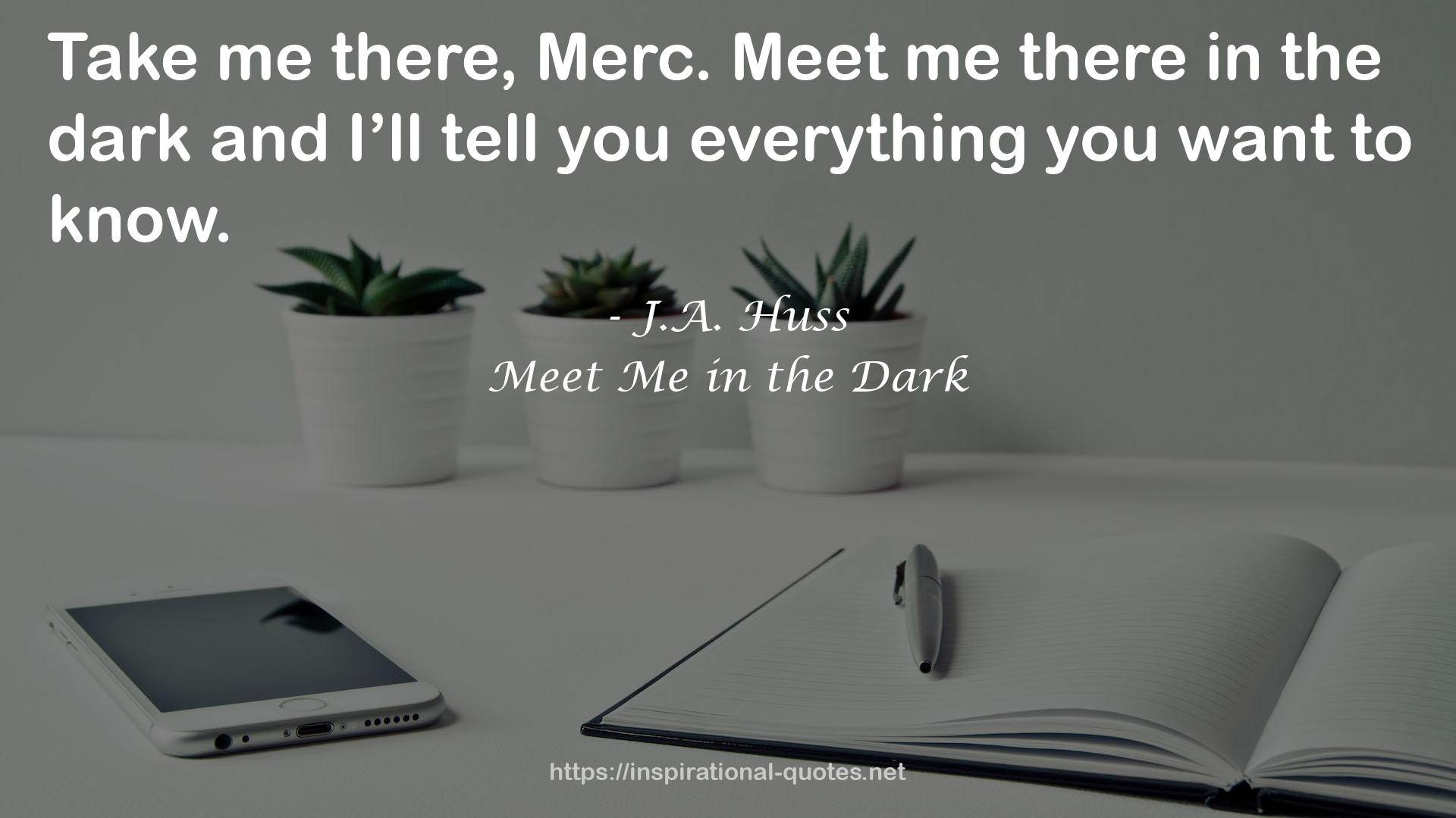 Meet Me in the Dark QUOTES